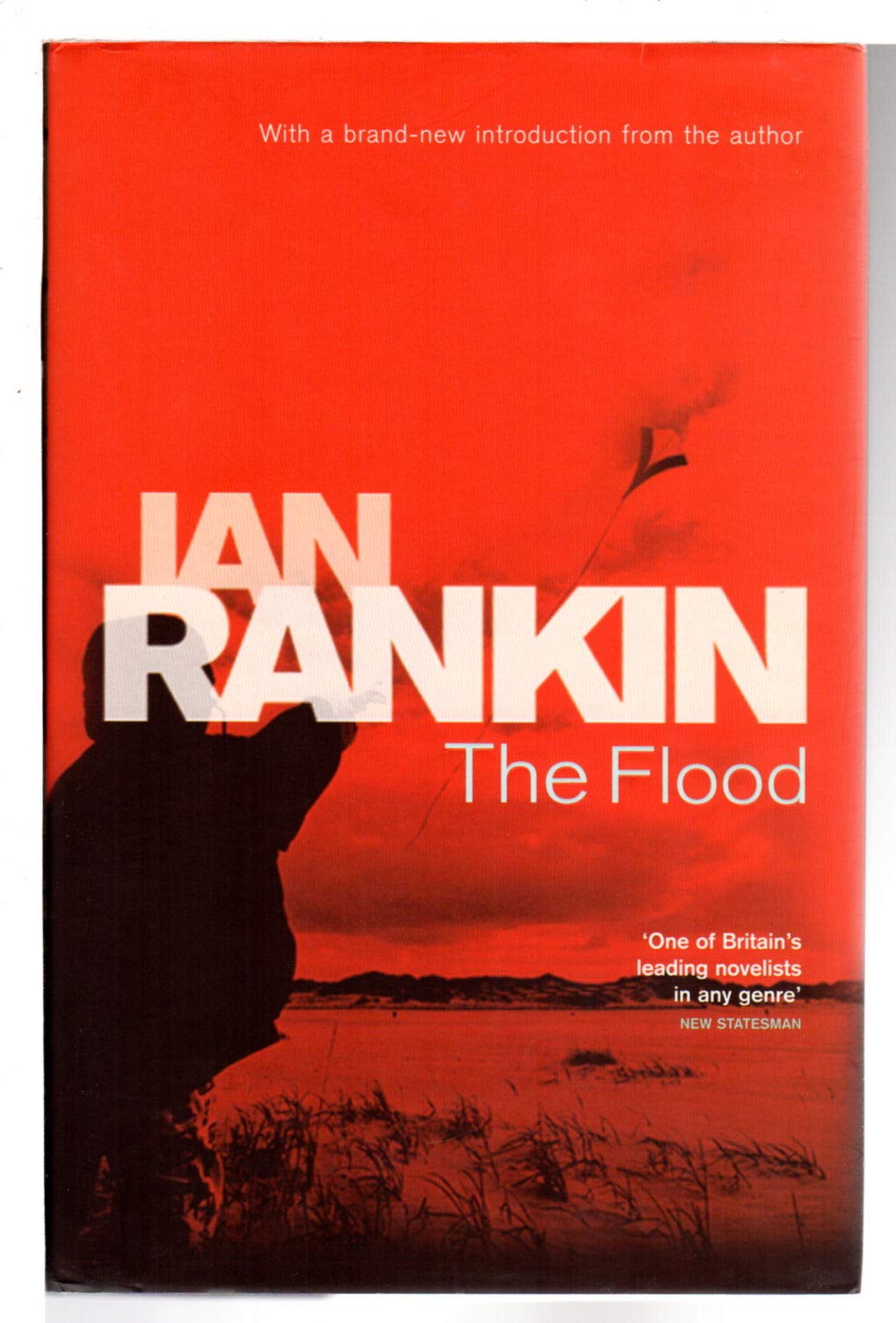 The Flood Contemporary literature Books