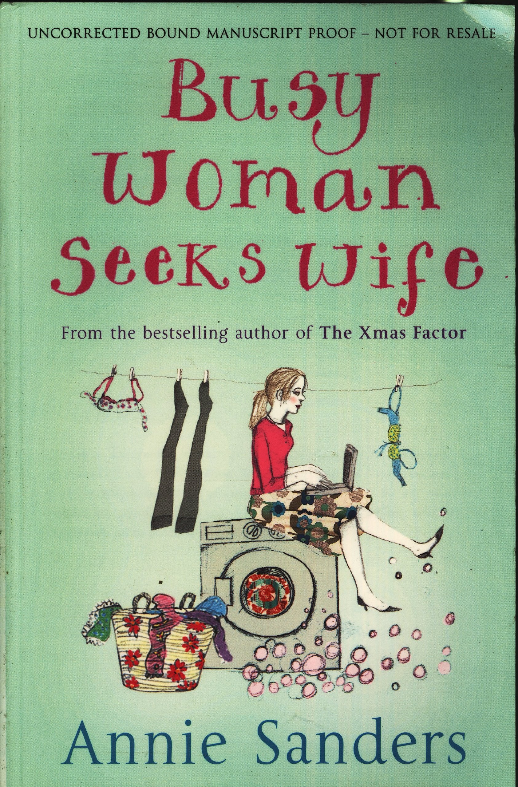 Busy Woman Seeks Wife Contemporary literature