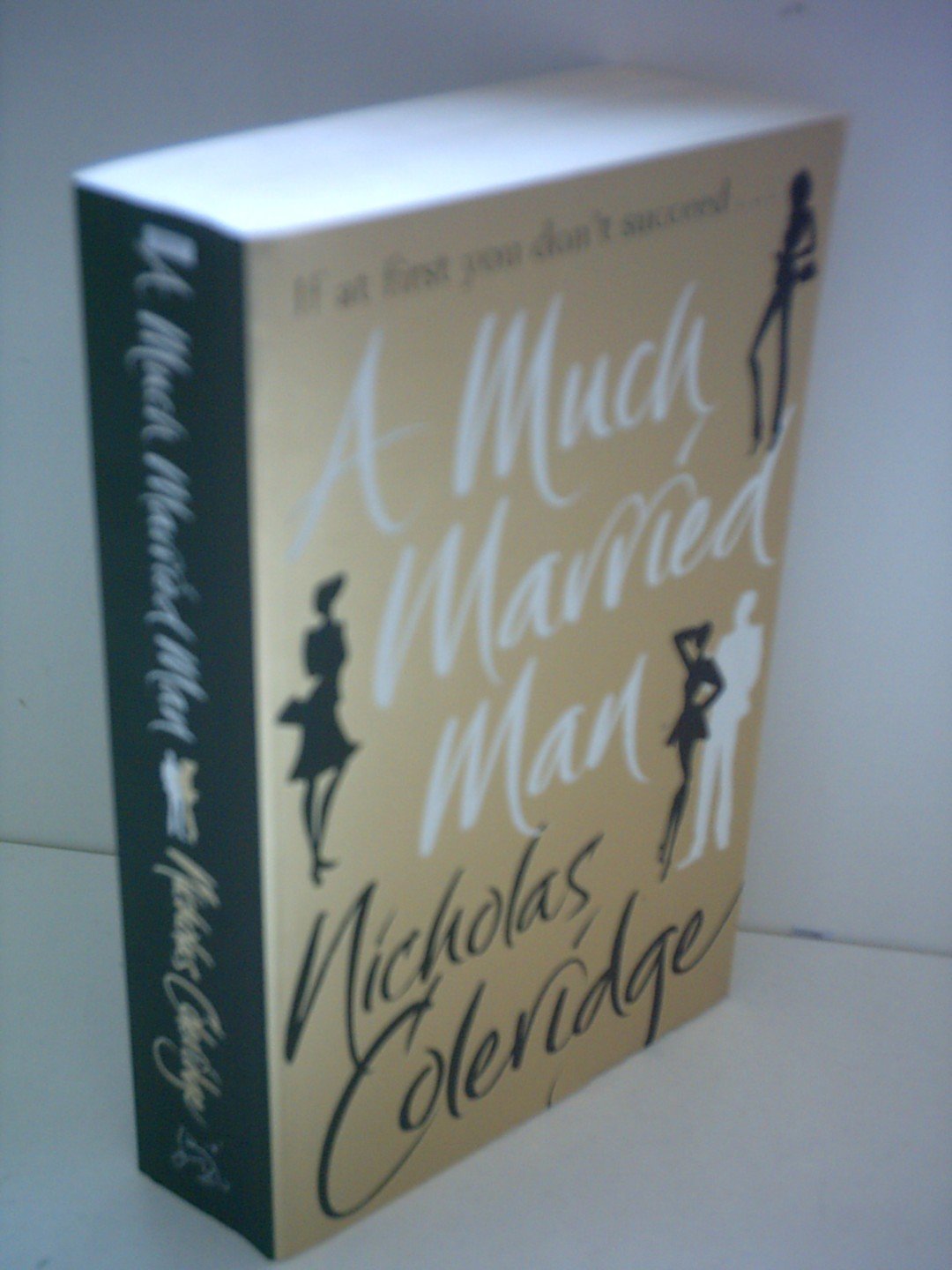 A Much Married Man Contemporary literature Books