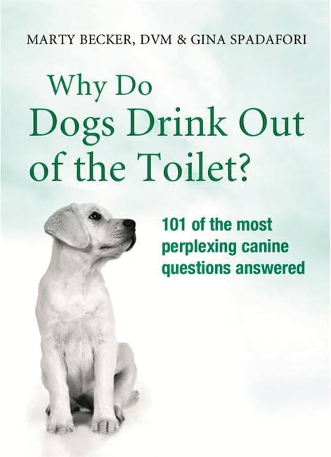 Why Do Dogs Drink Out Of The Toilet? Humour & Satire