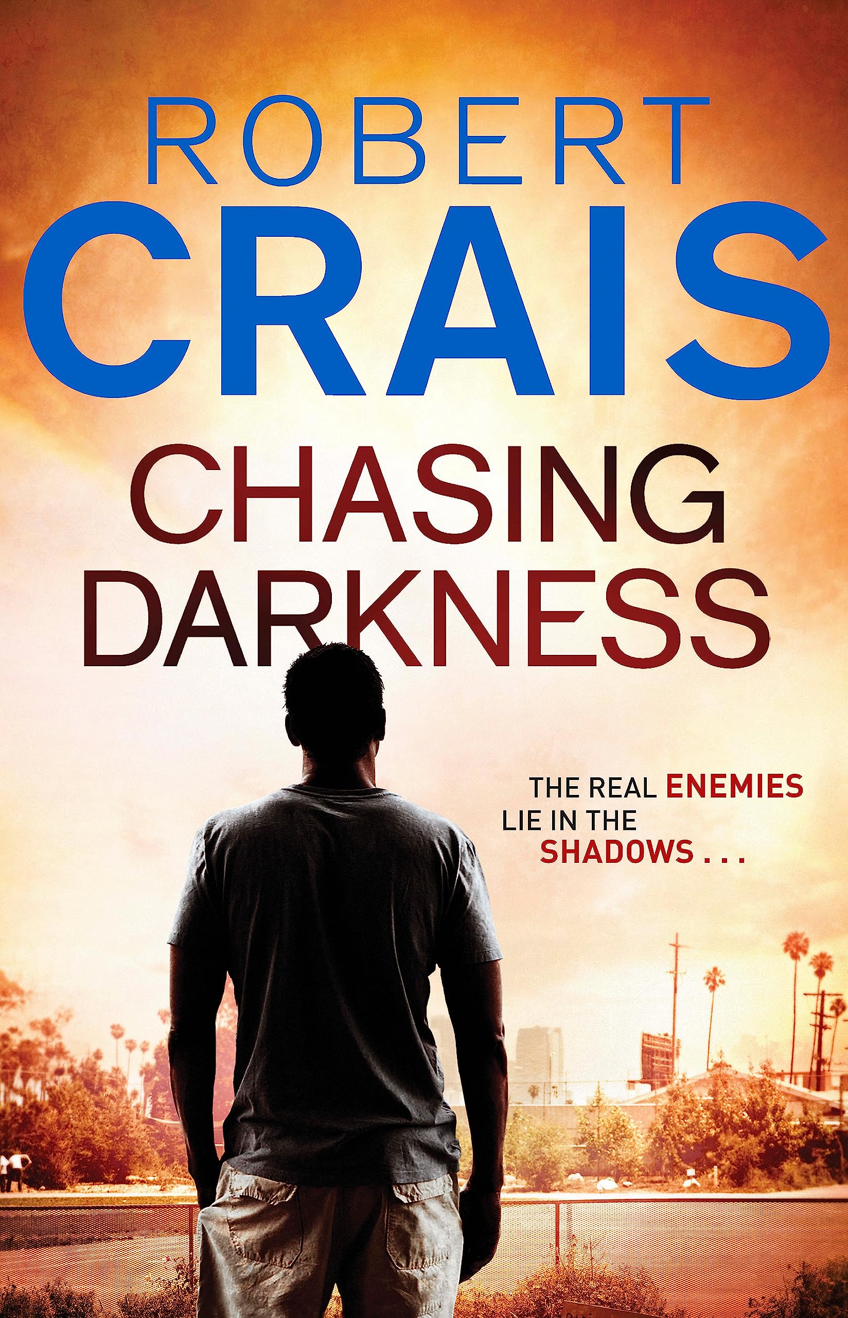 Chasing Darkness: The real enemies lie in the shadows ... (Cole & Pike) Contemporary literature