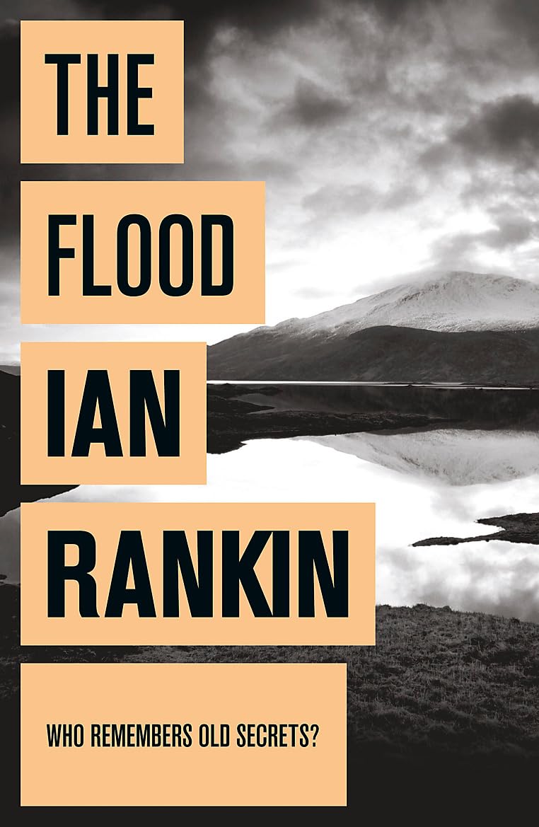 The Flood: From the iconic #1 bestselling author of A SONG FOR THE DARK TIMES Contemporary literature Books