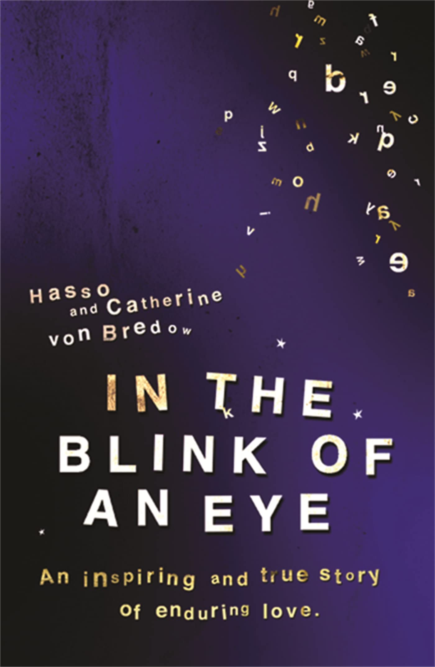In the Blink of an Eye book