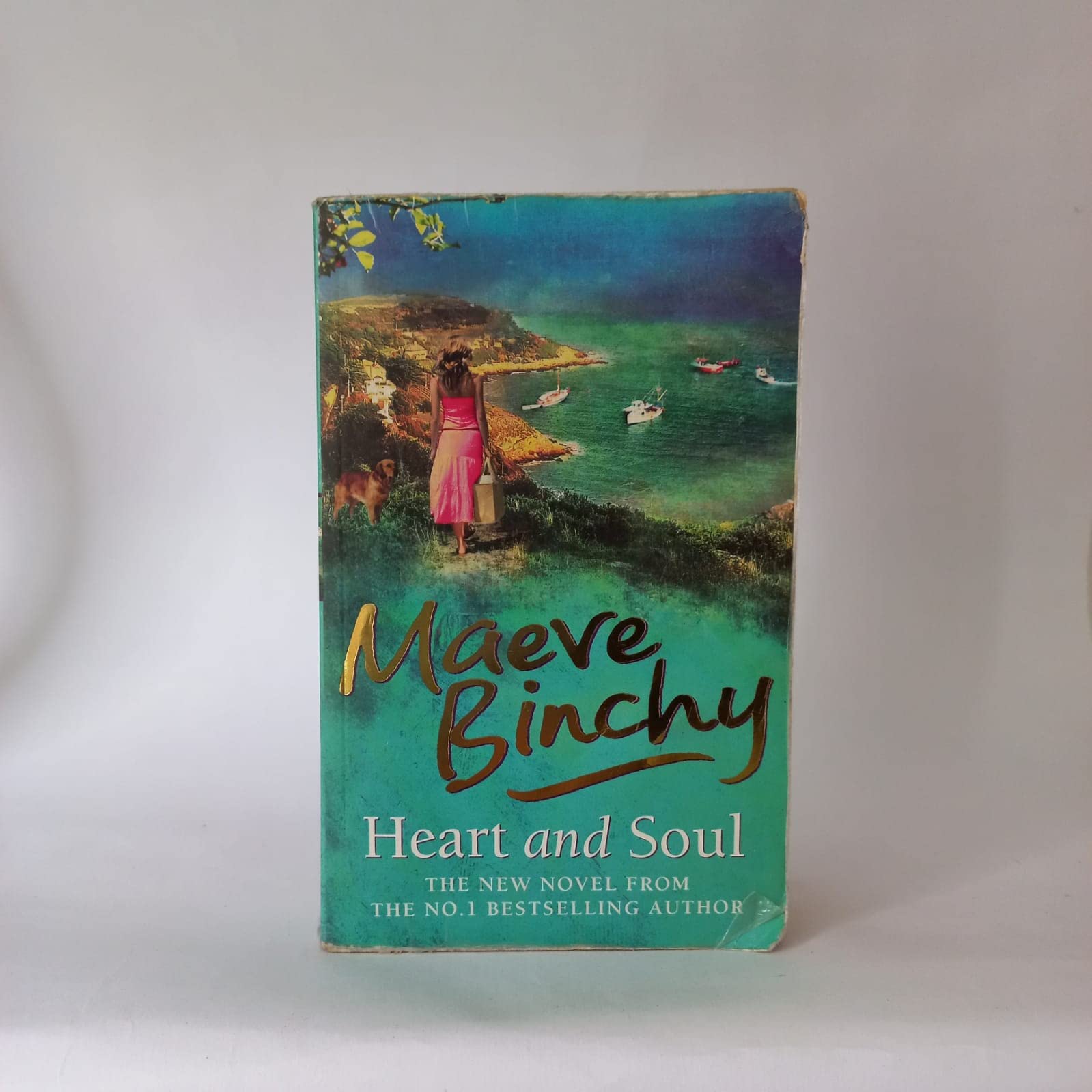 Heart and Soul book