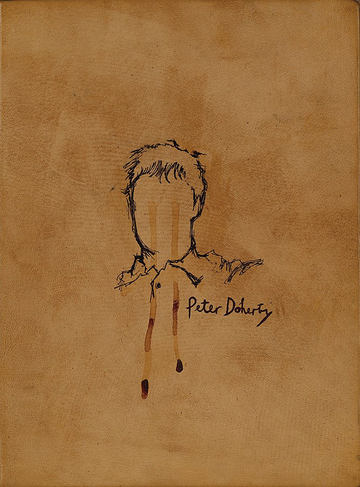 The Books of Albion: The Collected Writings of Peter Doherty Pop culture