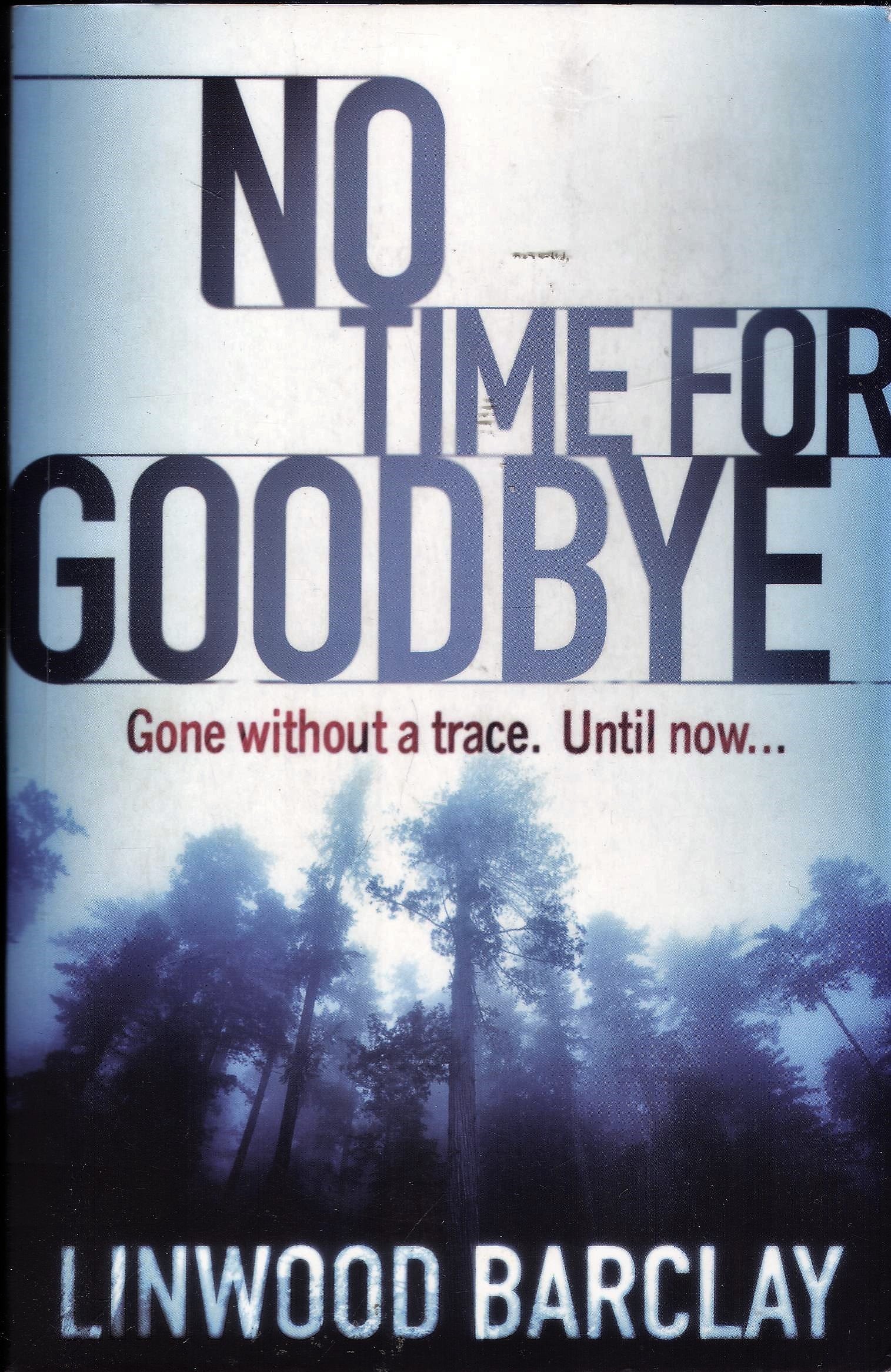 Product Image: No Time For Goodbye