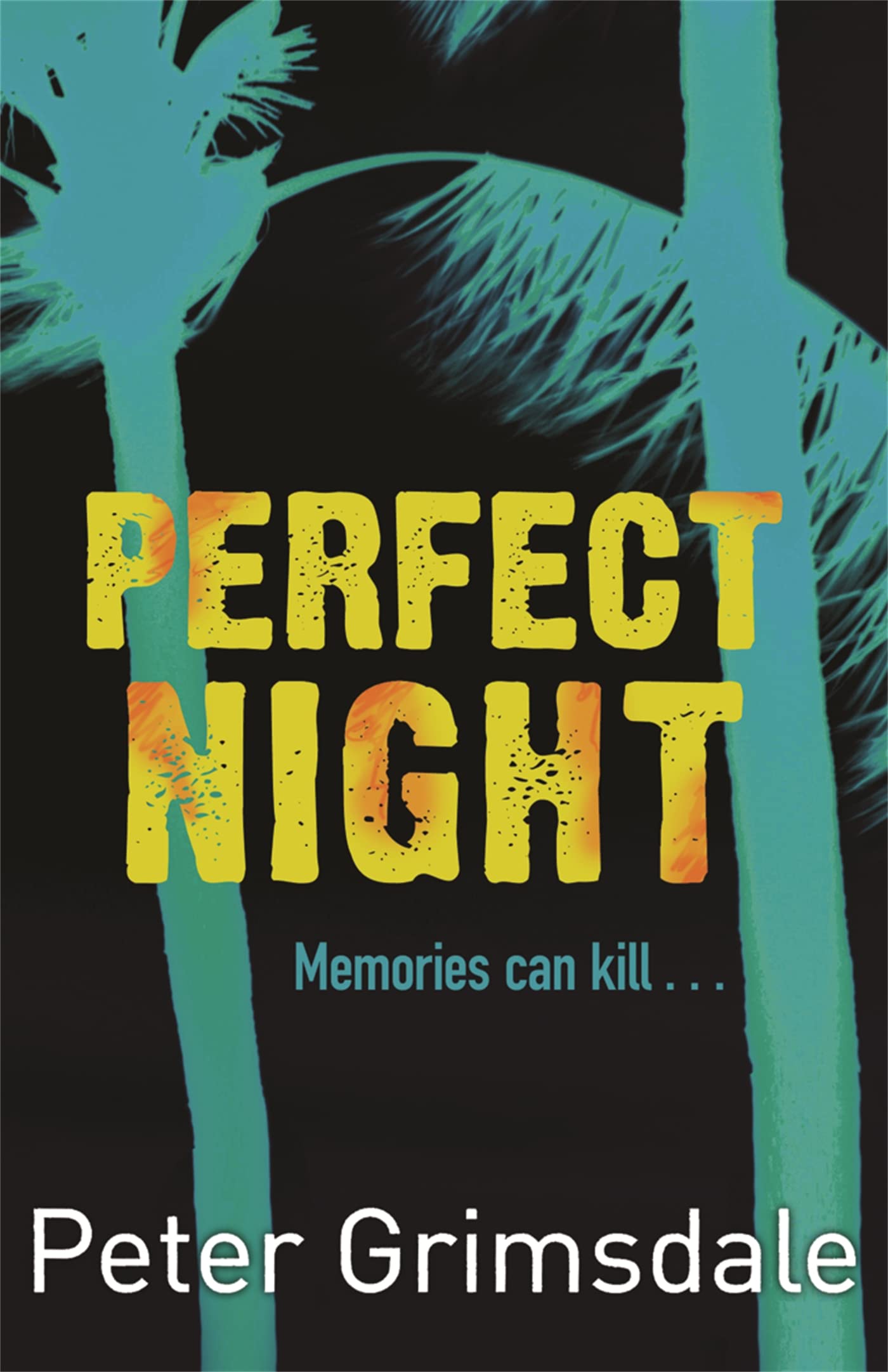 Perfect Night Contemporary literature Books