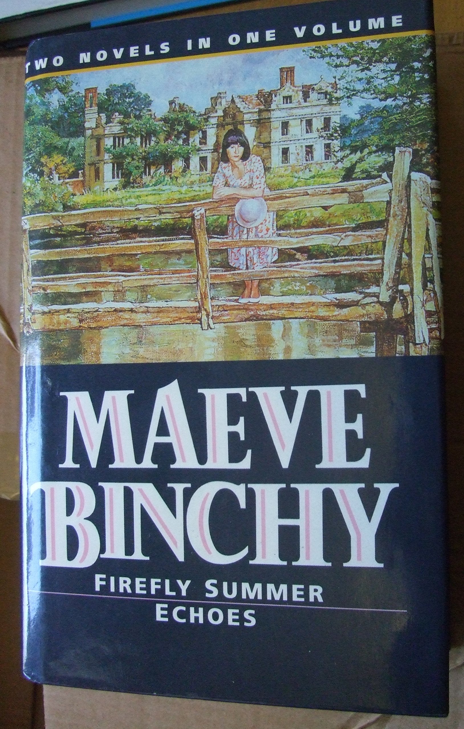 "Firefly Summer", "Echoes" (No. 2) (Maeve Binchy Omnibus) Contemporary literature