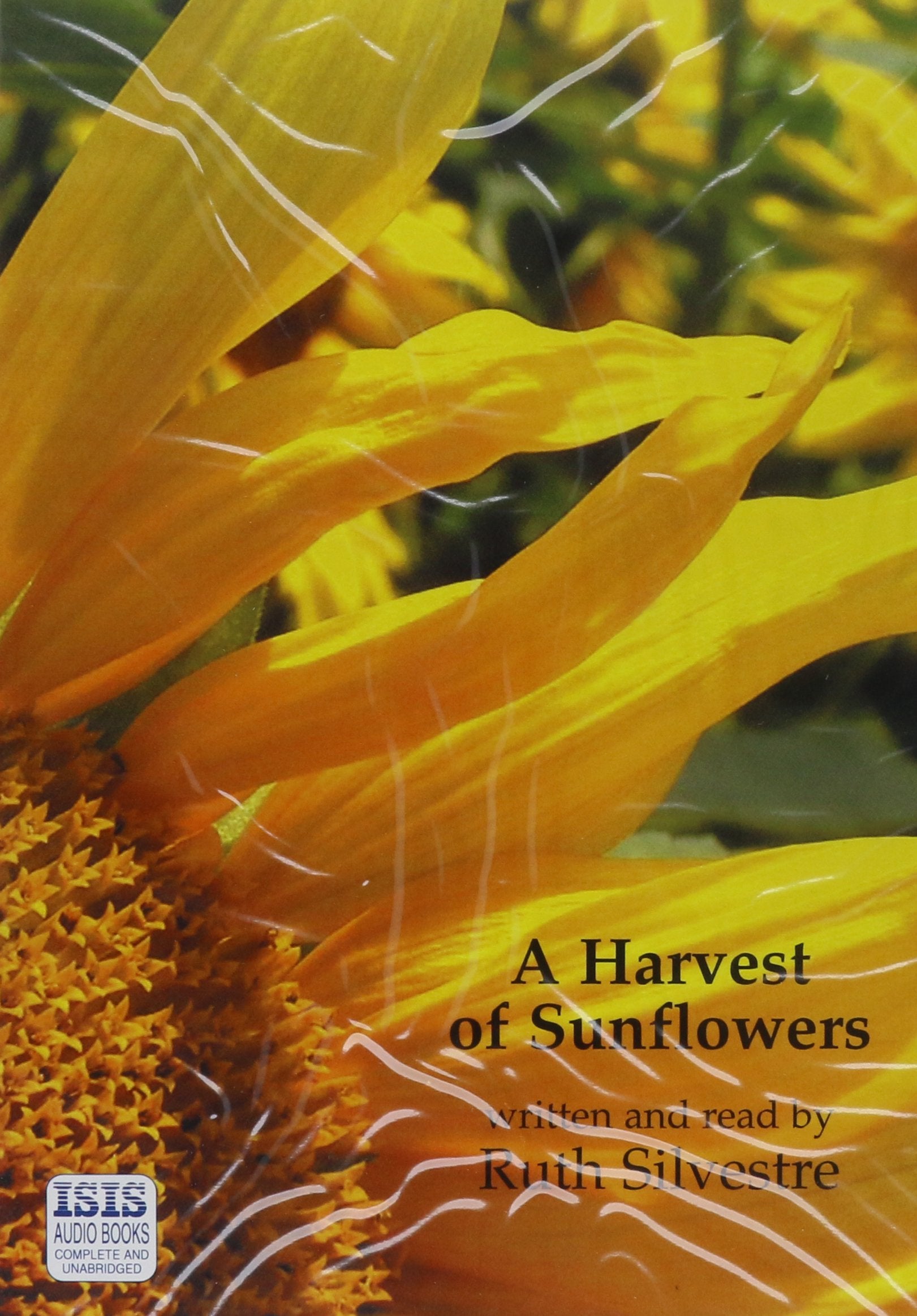 A Harvest of Sunflowers Memories
