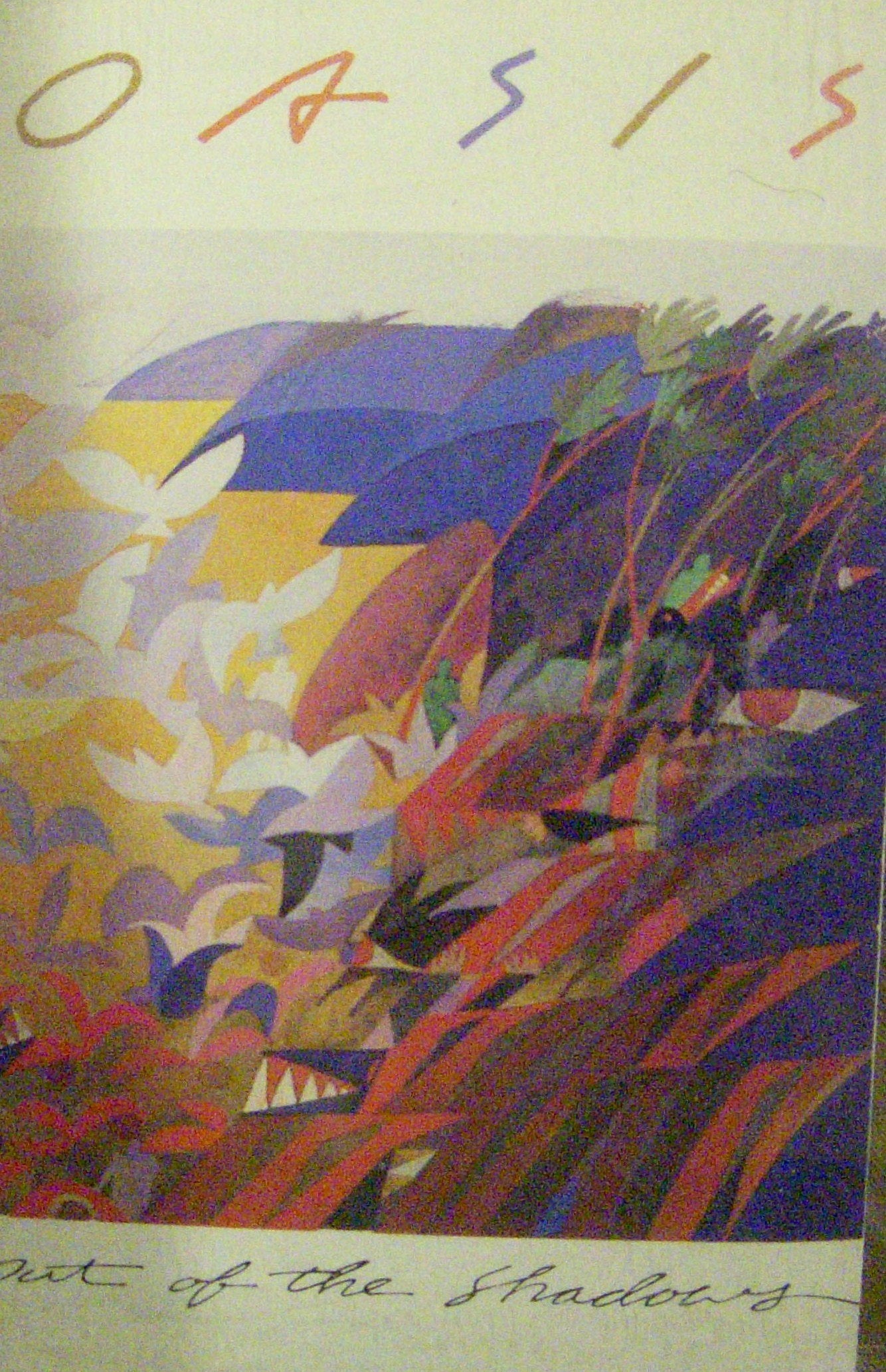 Out of the Shadows Contemporary literature