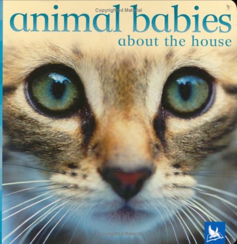 Animal Babies About the House Non-fiction