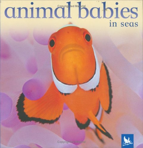 Animal Babies in Seas (Animal Babies S.) Non-fiction
