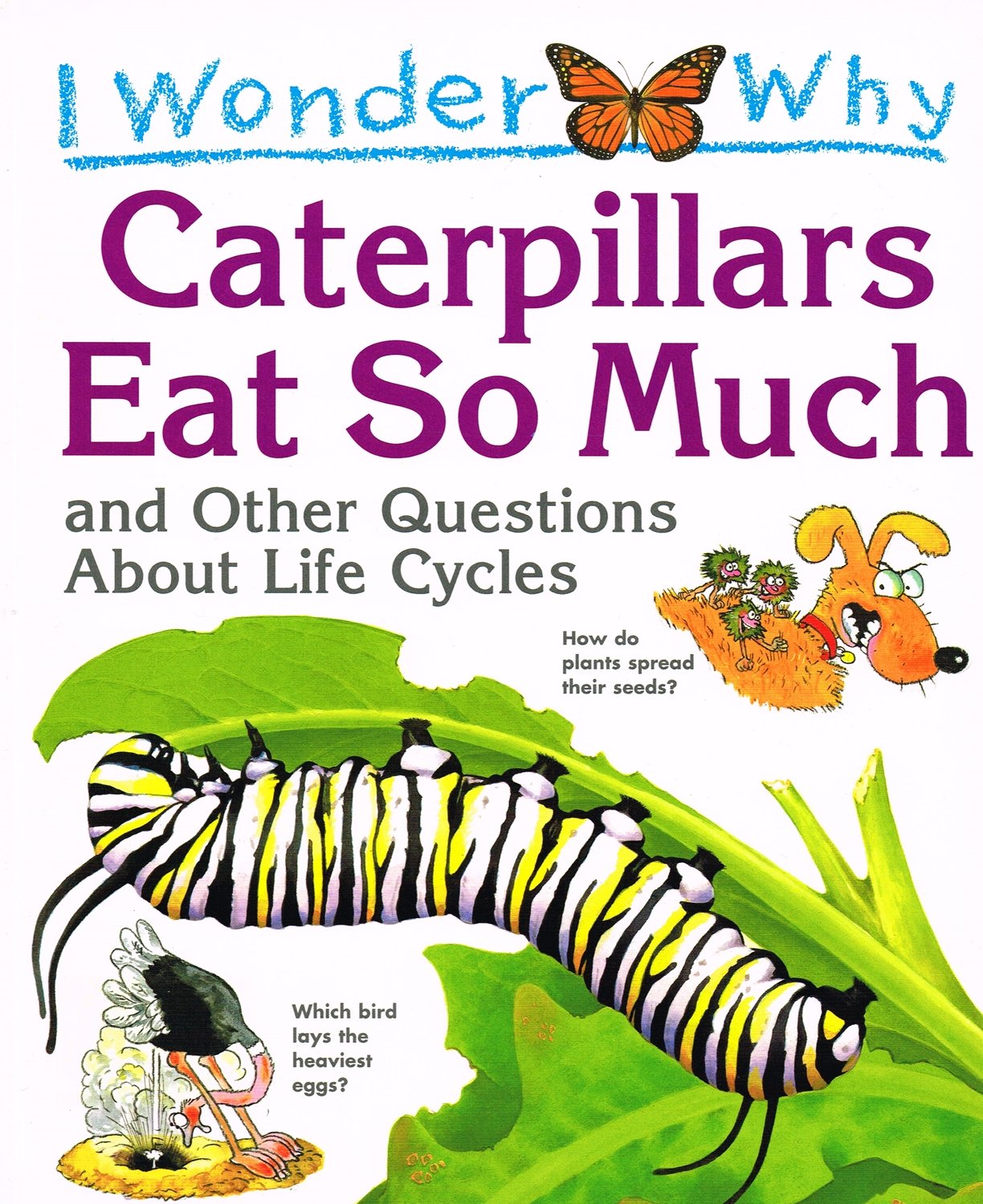 I Wonder Why Caterpillars Eat So Much Non-fiction