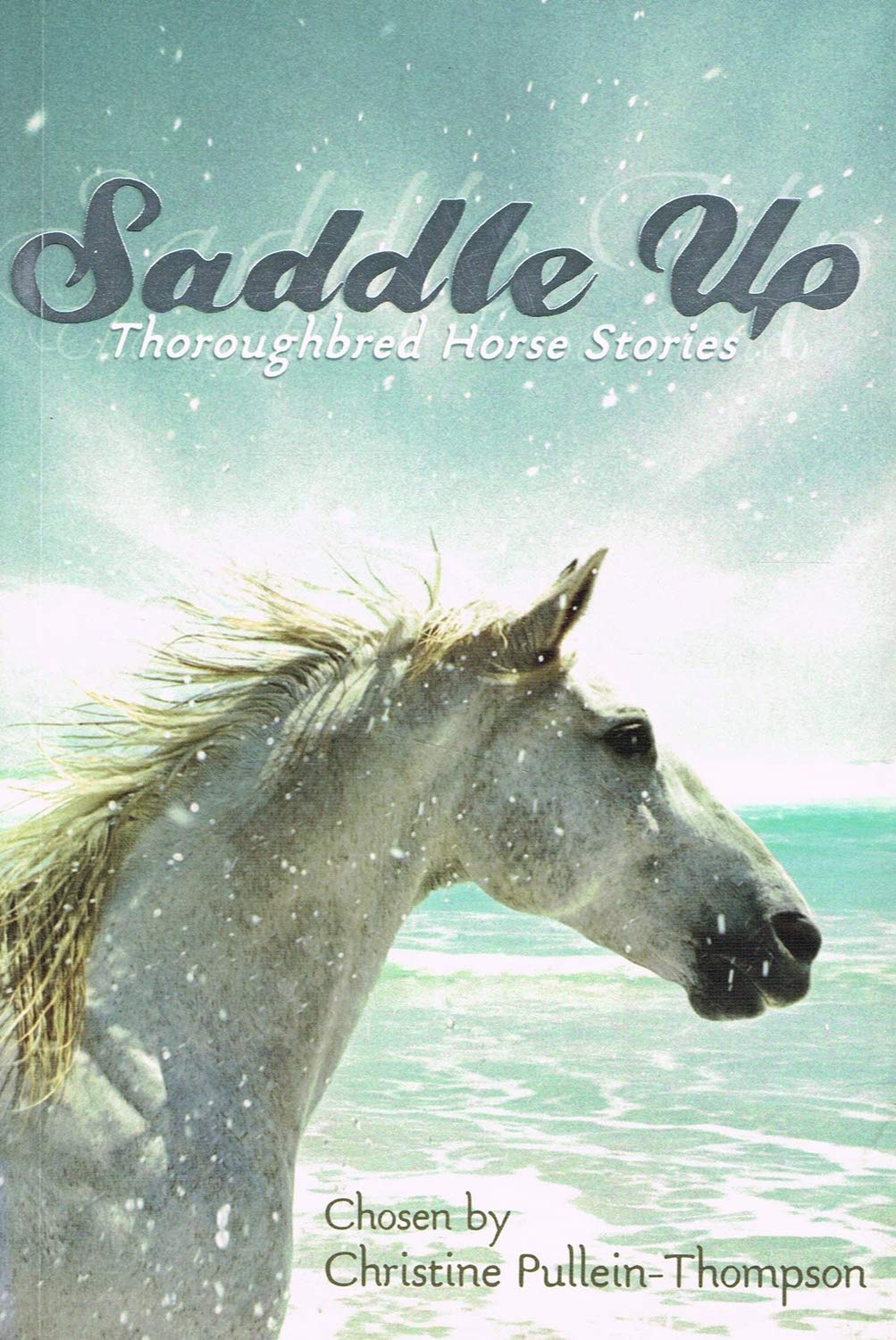 Saddle Up: Thoroughbred Horse Stories book