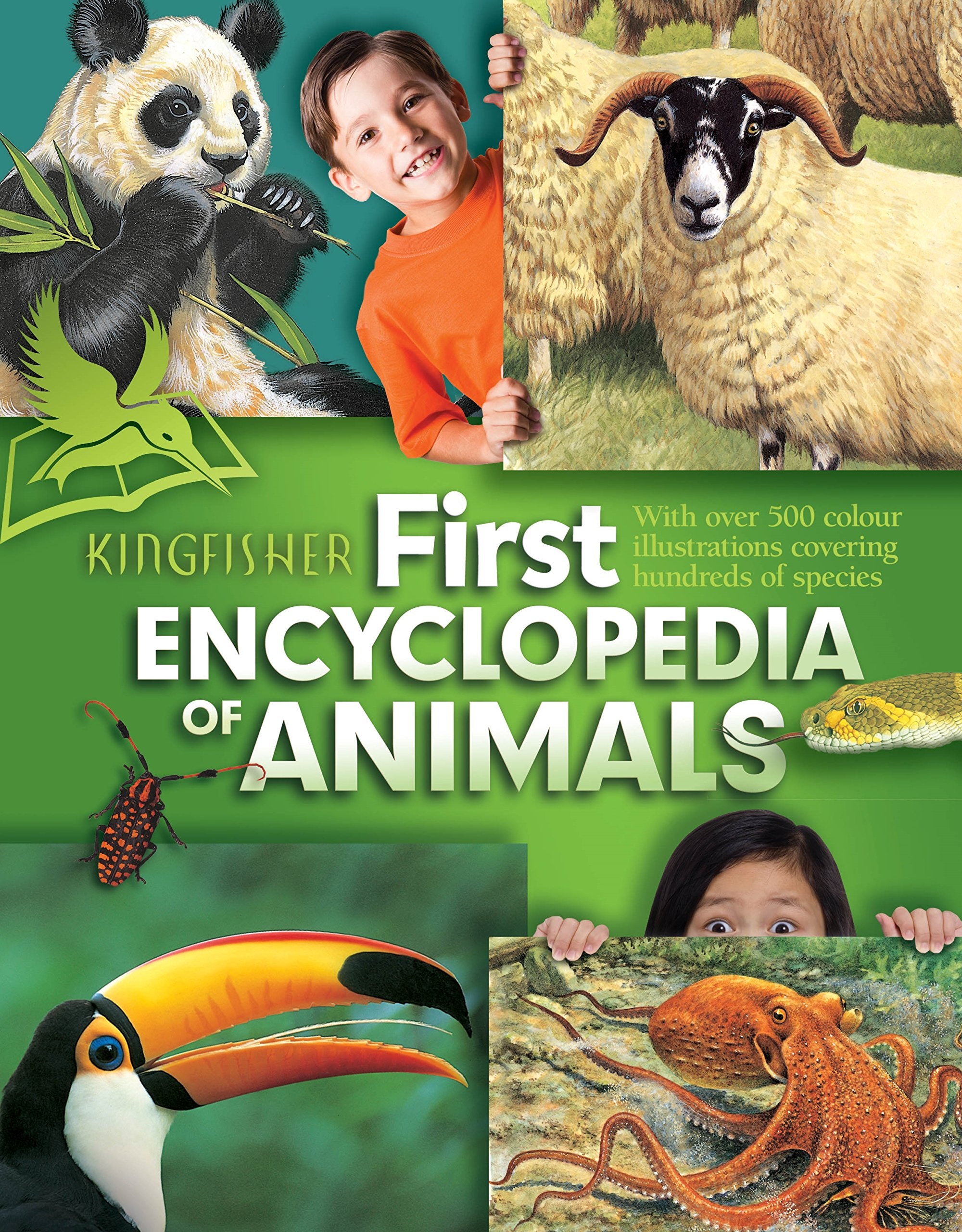 Kingfisher First Encyclopedia of Animals book