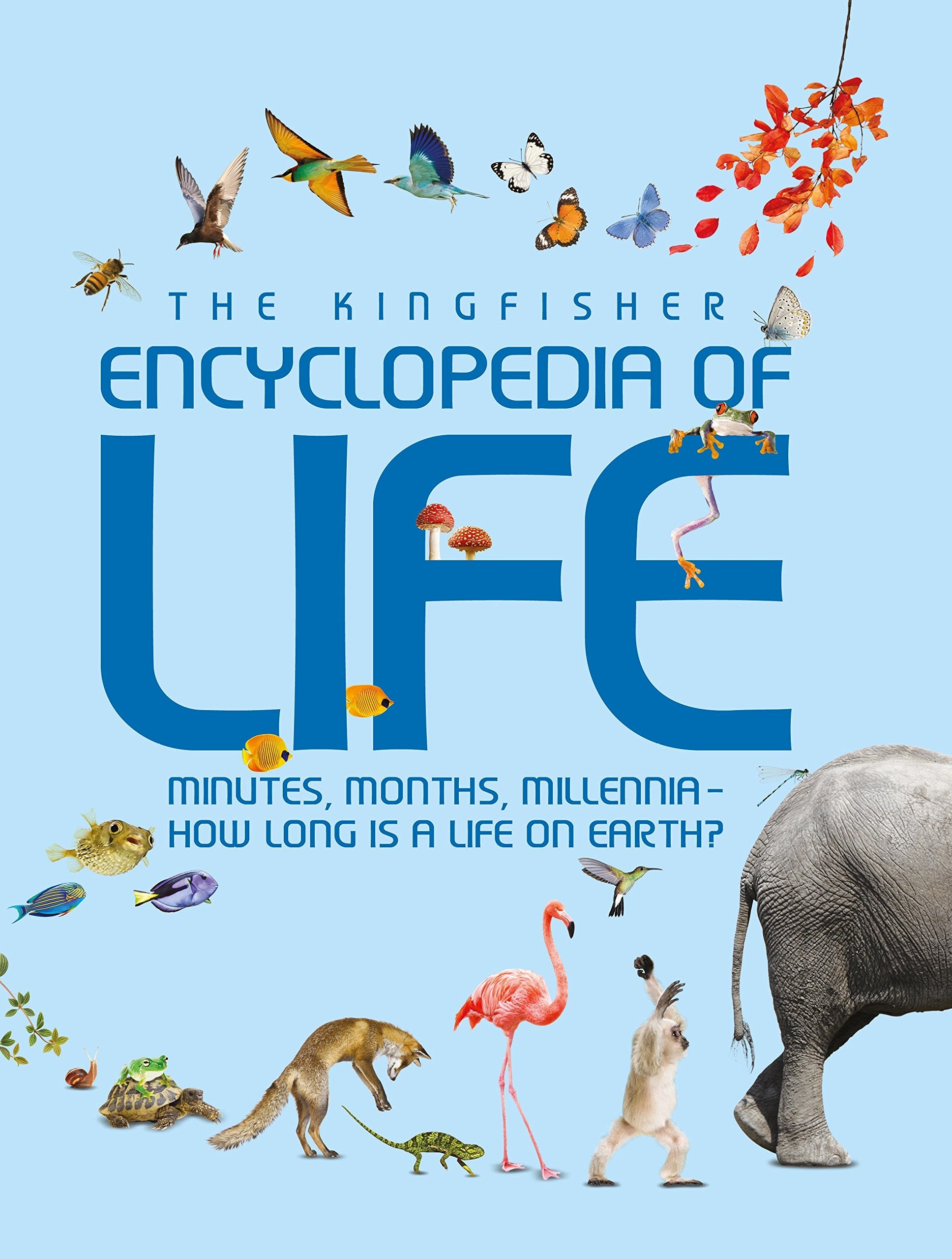 The Kingfisher Encyclopedia of Life: Minutes, Months, Millennia - How long is a life on earth?. Unabridged edition Learning & Reference