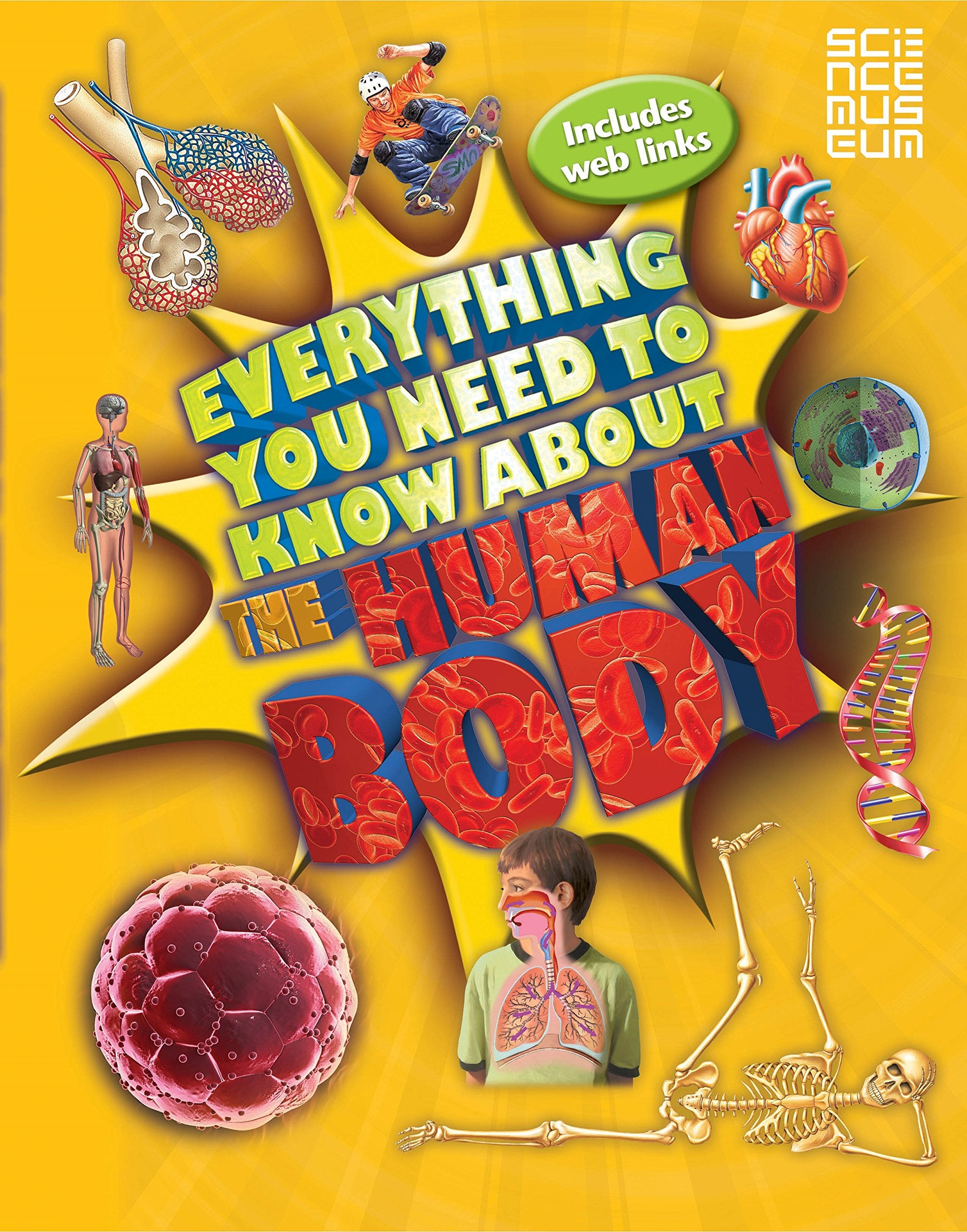 Everything You Need To Know About The Human Body: Incl. Web Links (Everything You Need to Know, 10) Non-fiction