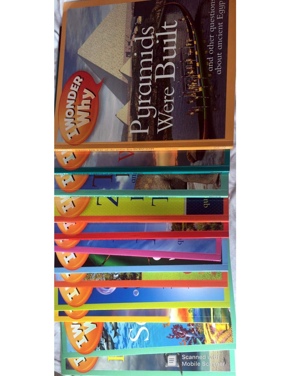 I WONDER WHY Philip Steele Books