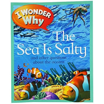 英文原版 I Wonder Why the Sea is Salty 海水为什么是咸的 8 10岁 少儿启蒙认知科普 大开本 Books