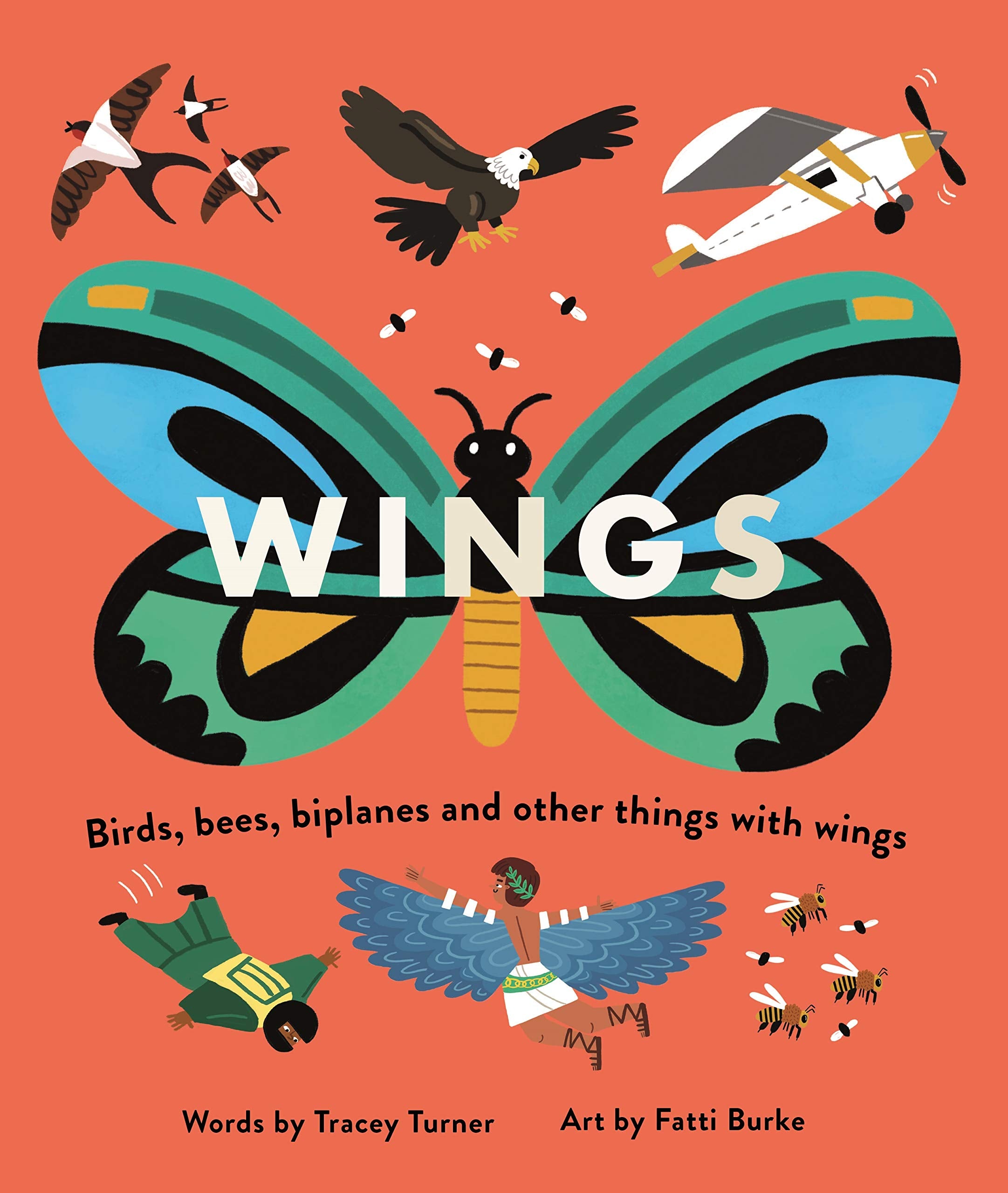 Wings: Birds, Bees, Biplanes and Other Things with Wings (Wheels/Wings) Non-fiction