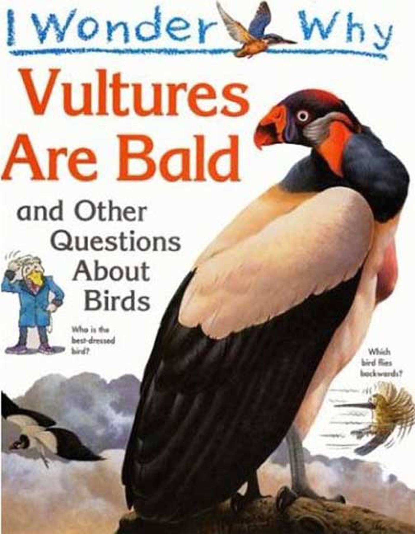 I Wonder Why Vultures Are Bald: And Other Questions About Birds Non-fiction
