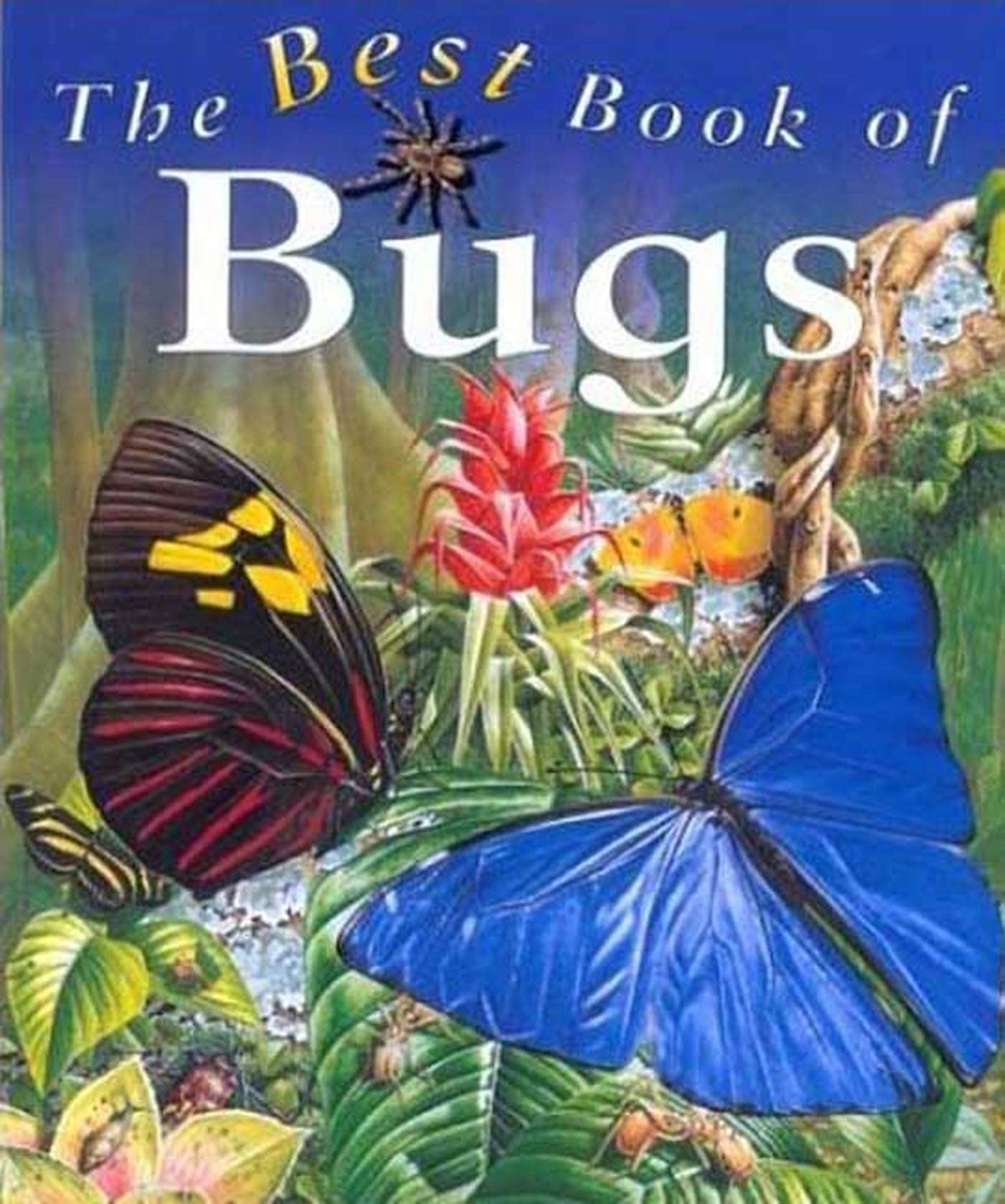 The Best Book of Bugs Non-fiction