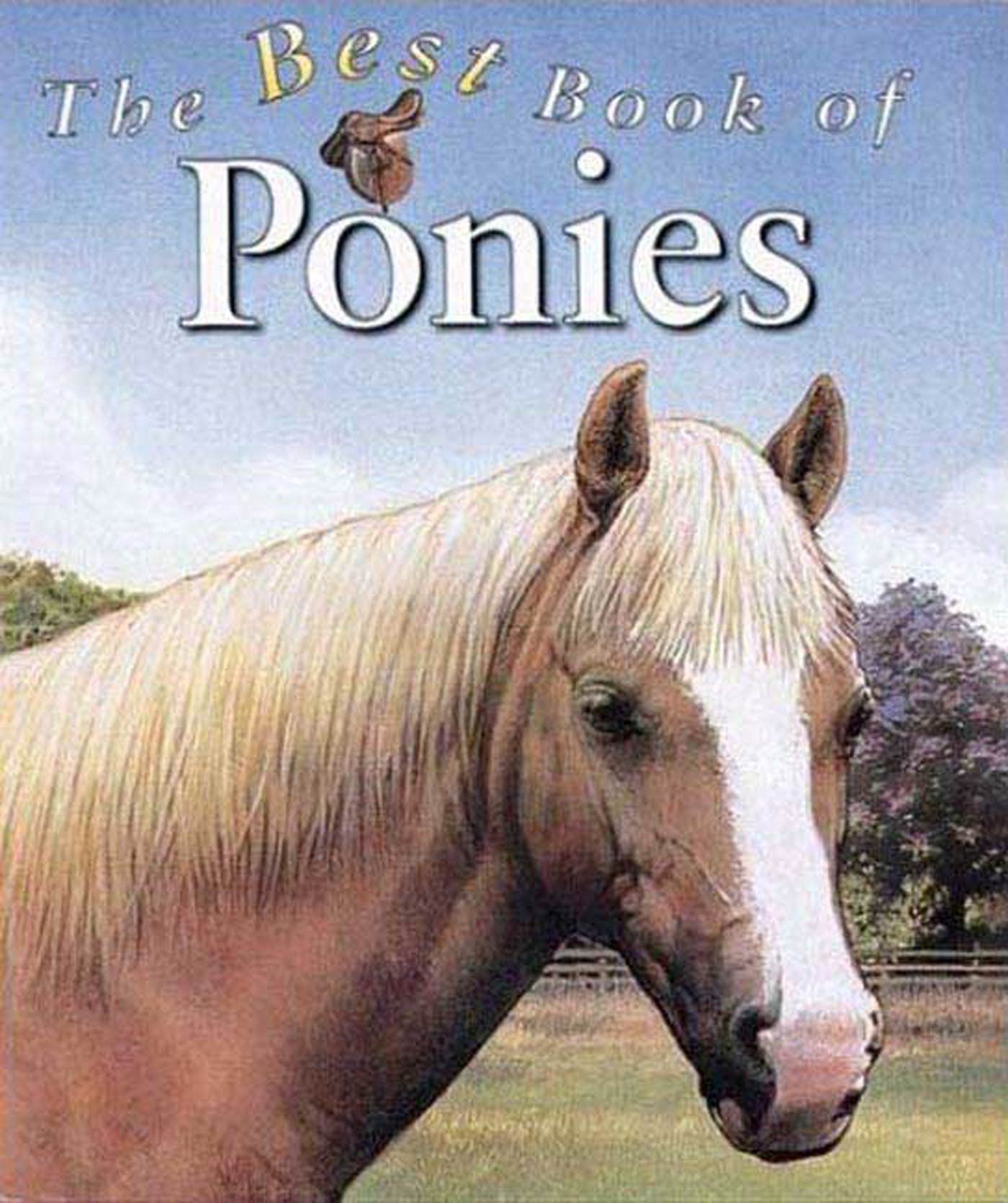 The Best Book of Ponies Non-fiction