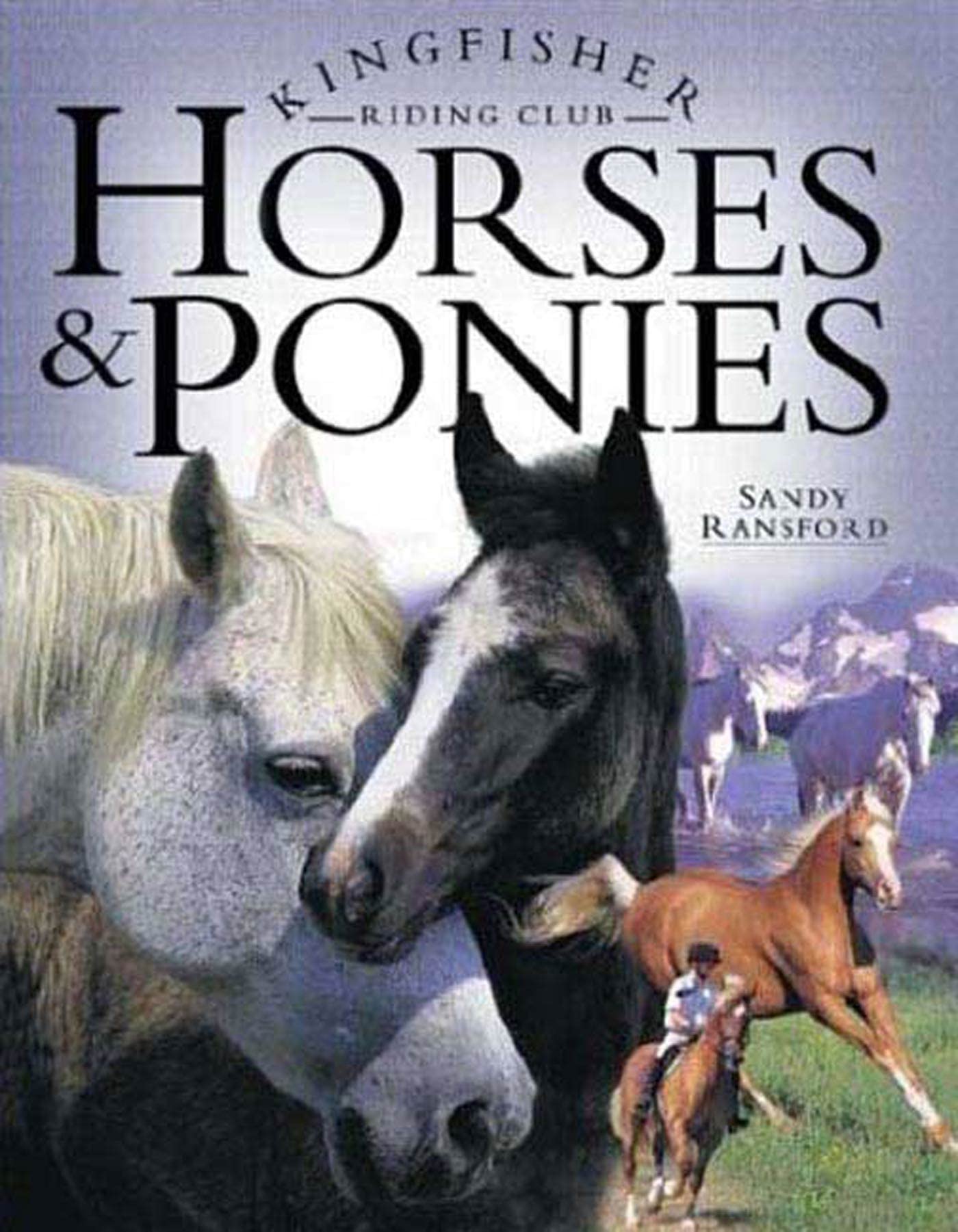 Horses and Ponies (Kingfisher Riding Club) Non-fiction