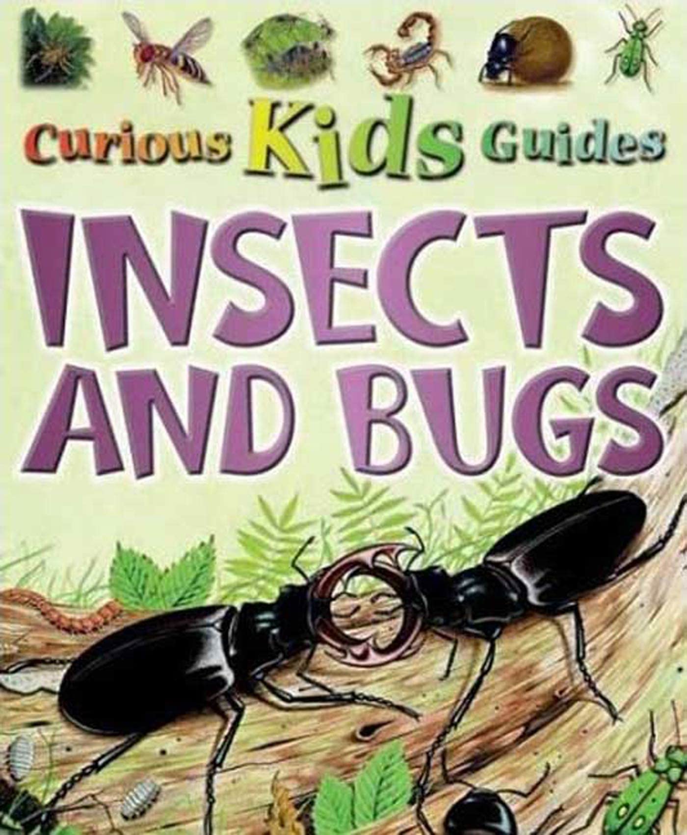 Insects and Bugs (Curious Kids Guides) Non-fiction