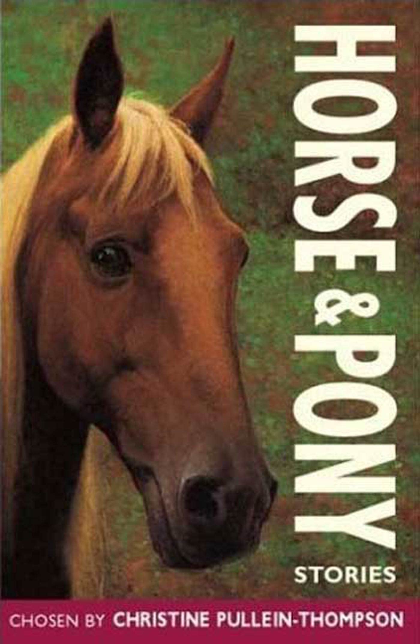 Horse & Pony Stories (Red Hot Reads) Novels & Short Stories