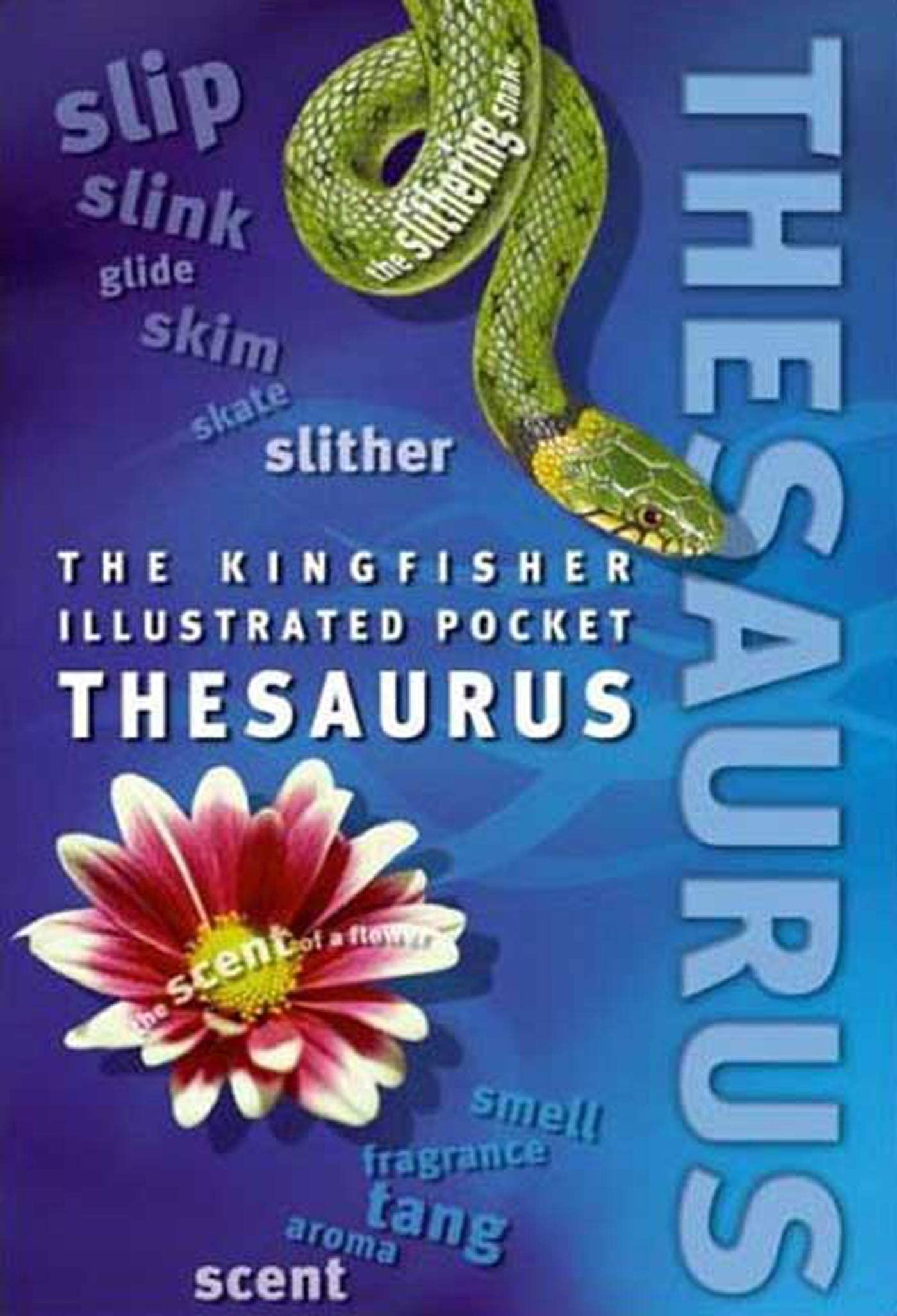 The Kingfisher Illustrated Pocket Thesaurus Non-fiction