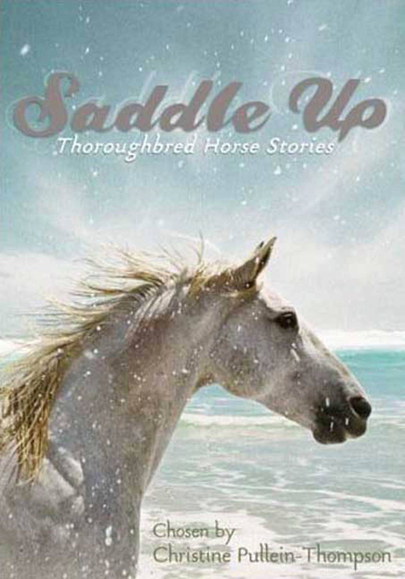 Saddle Up: Thoroughbred Horse Stories Novels & Short Stories