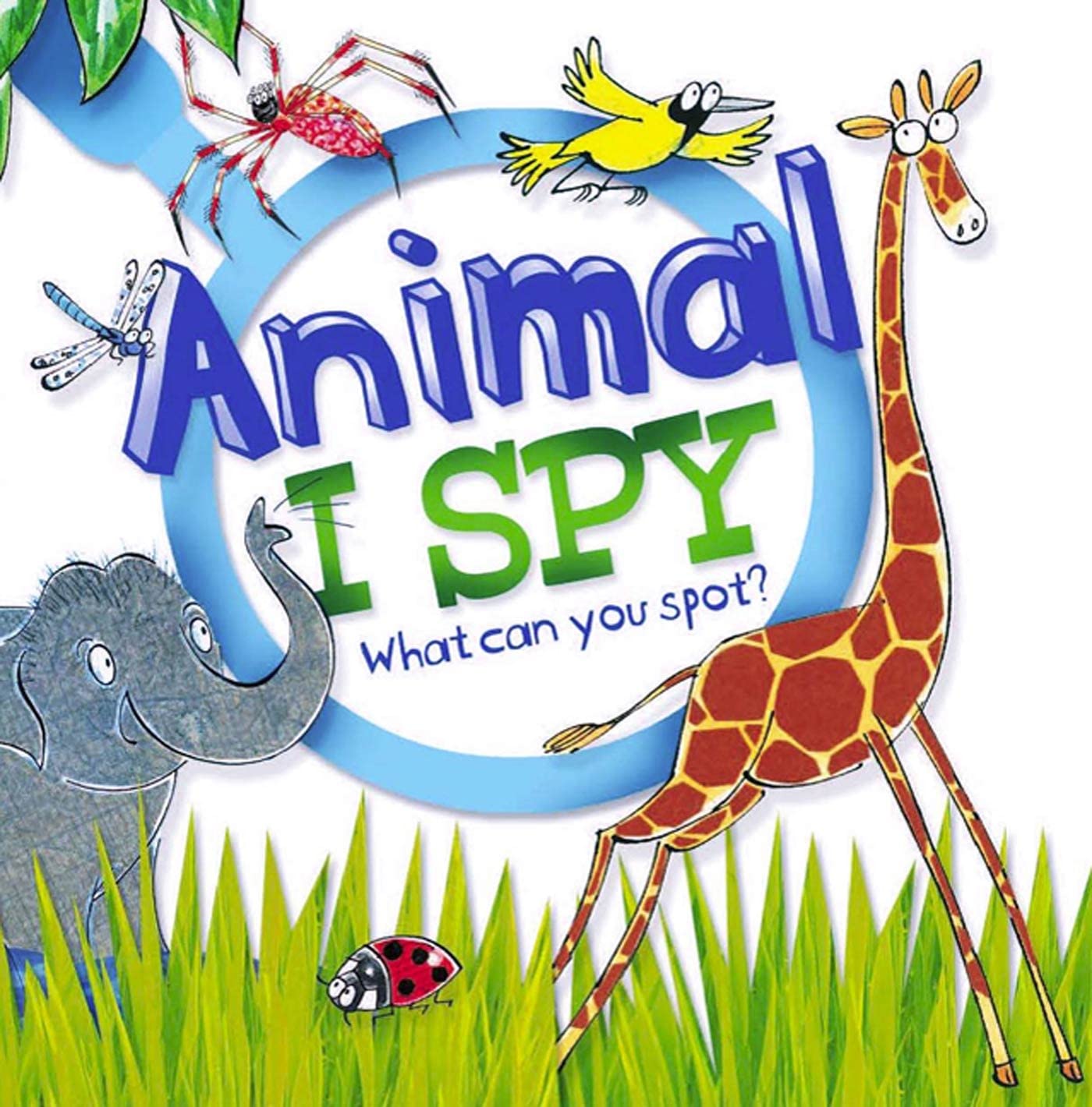 Animal I Spy: What Can You Spot? Non-fiction