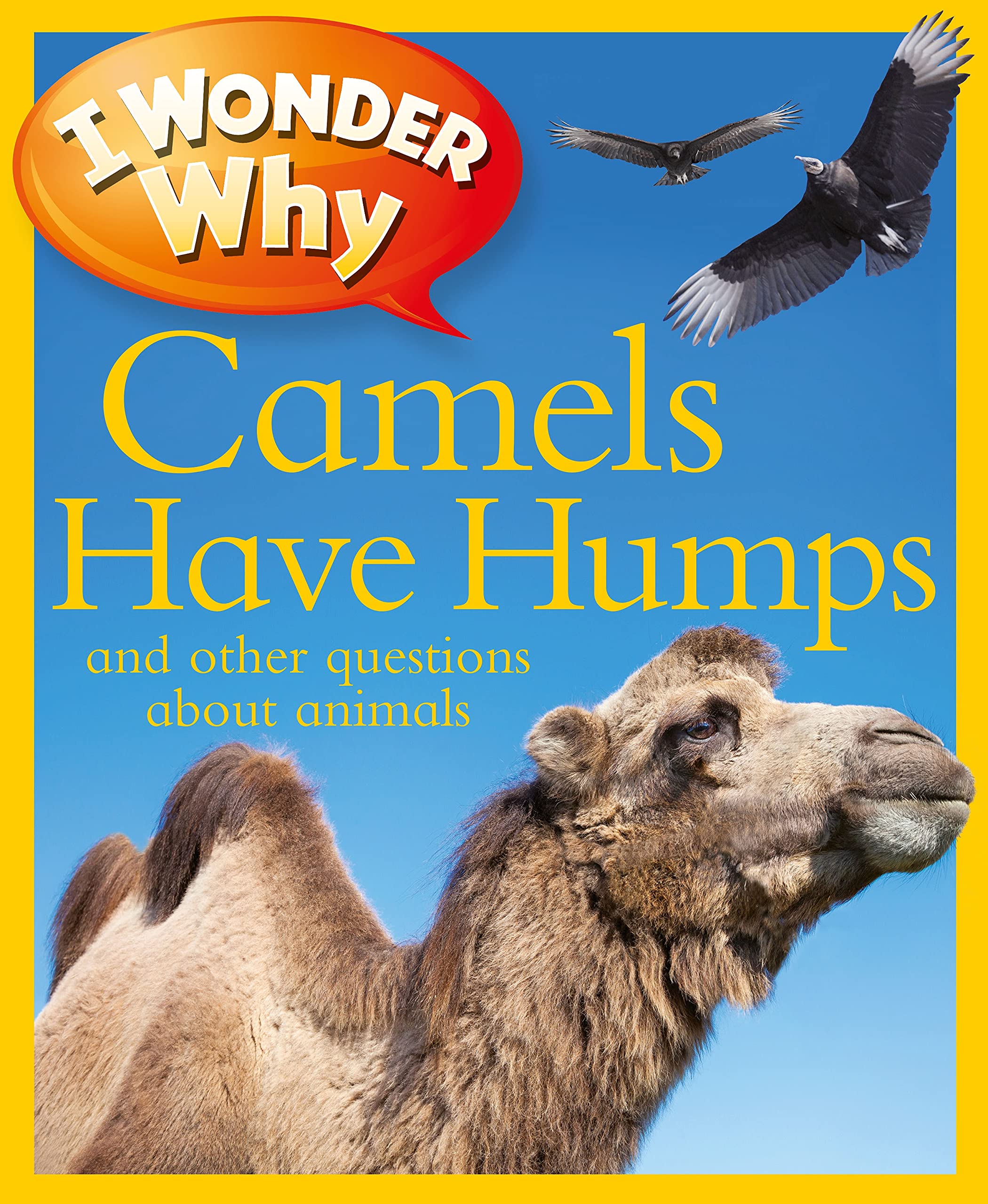 I Wonder Why Camels Have Humps: And Other Questions about Animals Non-fiction