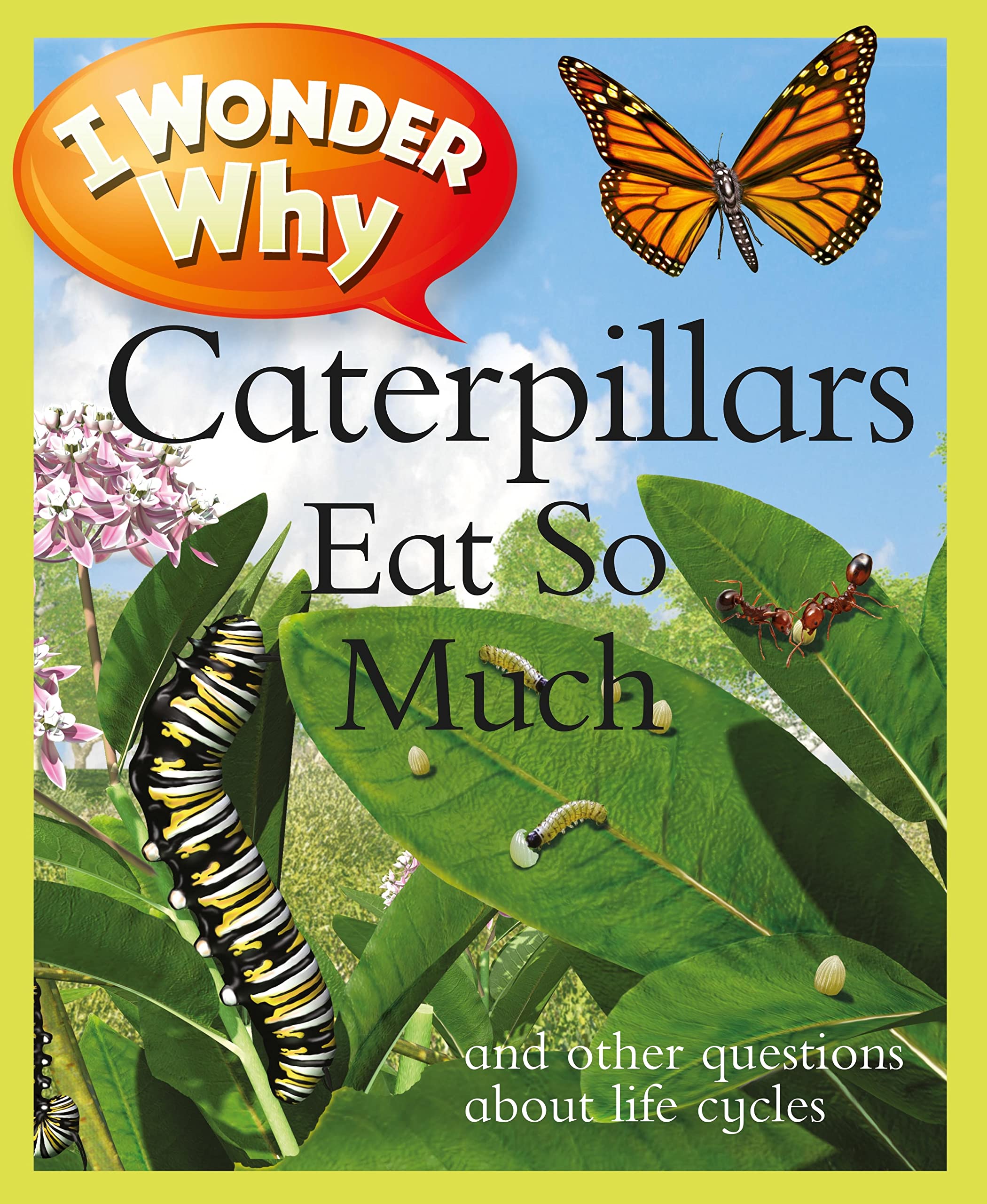 I Wonder Why Caterpillars Eat So Much book