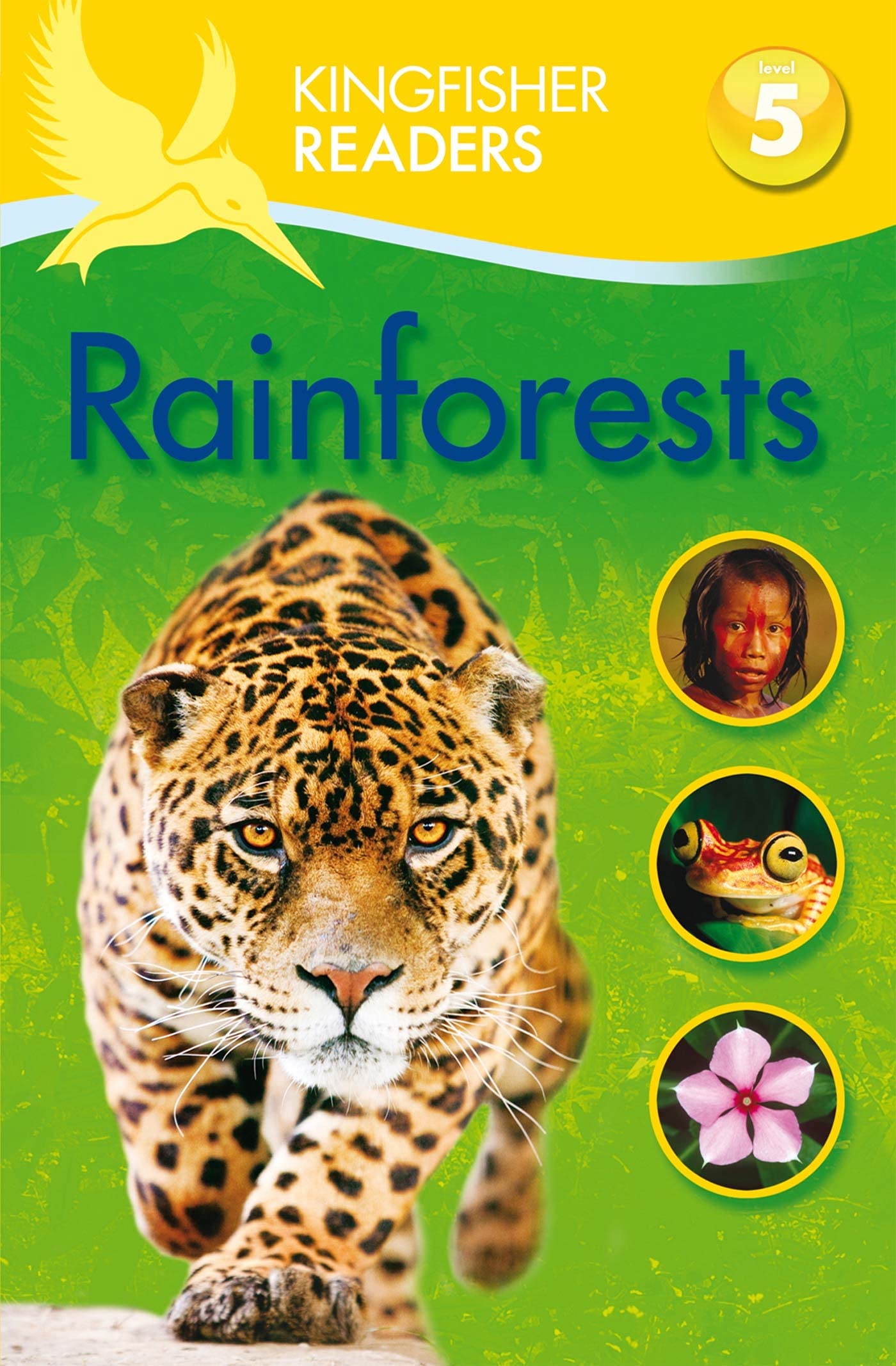 Kingfisher Readers L5: Rainforests (Kingfisher Readers. Level 5) Non-fiction