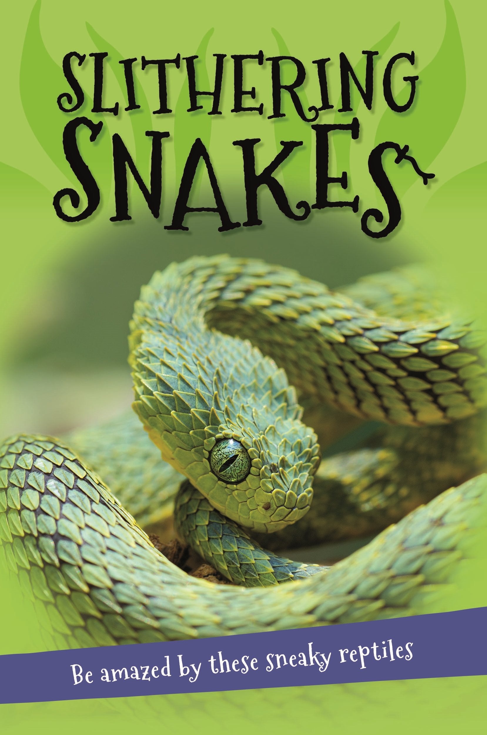 It's All About... Slithering Snakes: Everything You Want to Know about Snakes in One Amazing Book Novels & Short Stories