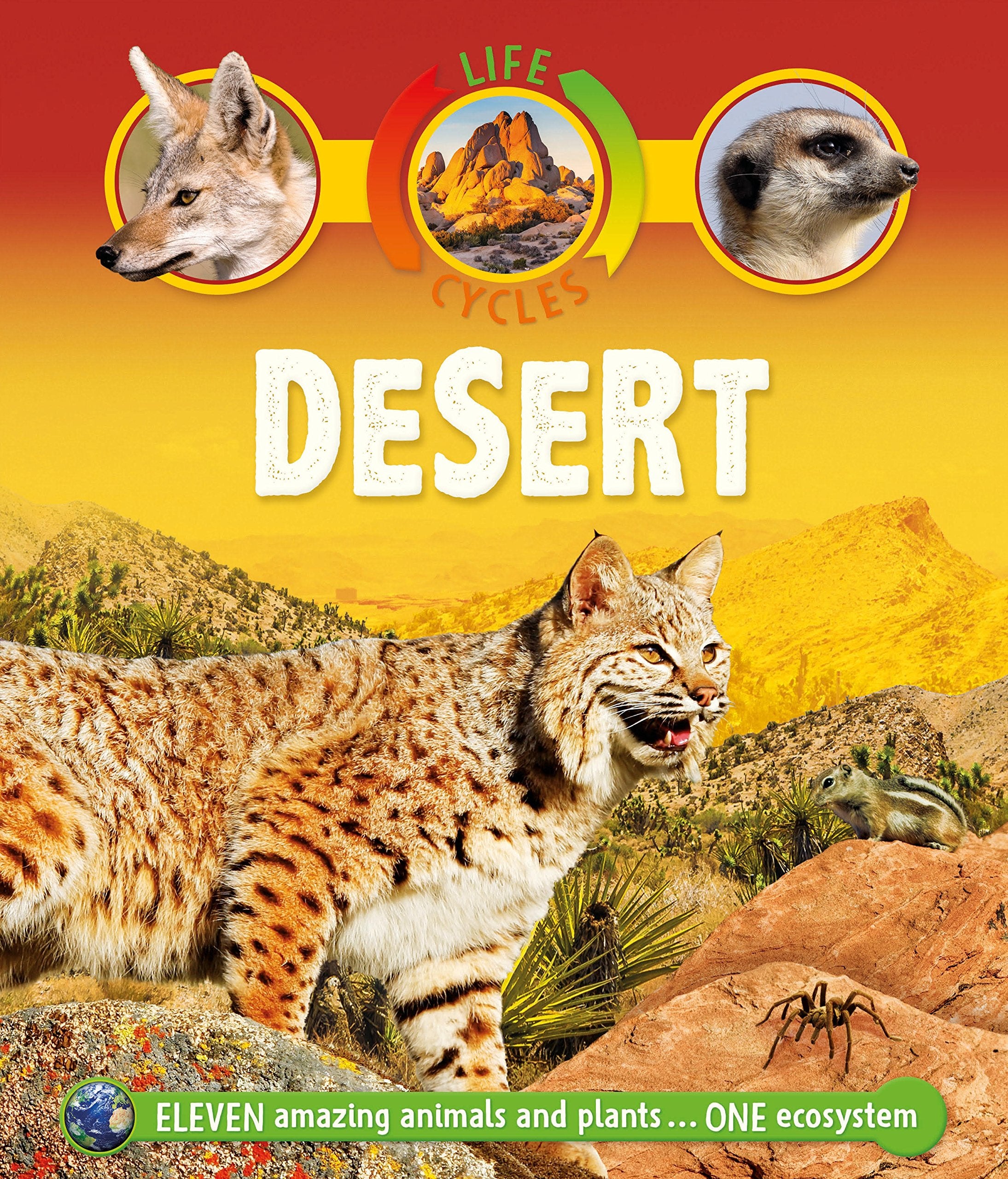 Product Image: Life Cycles: Desert