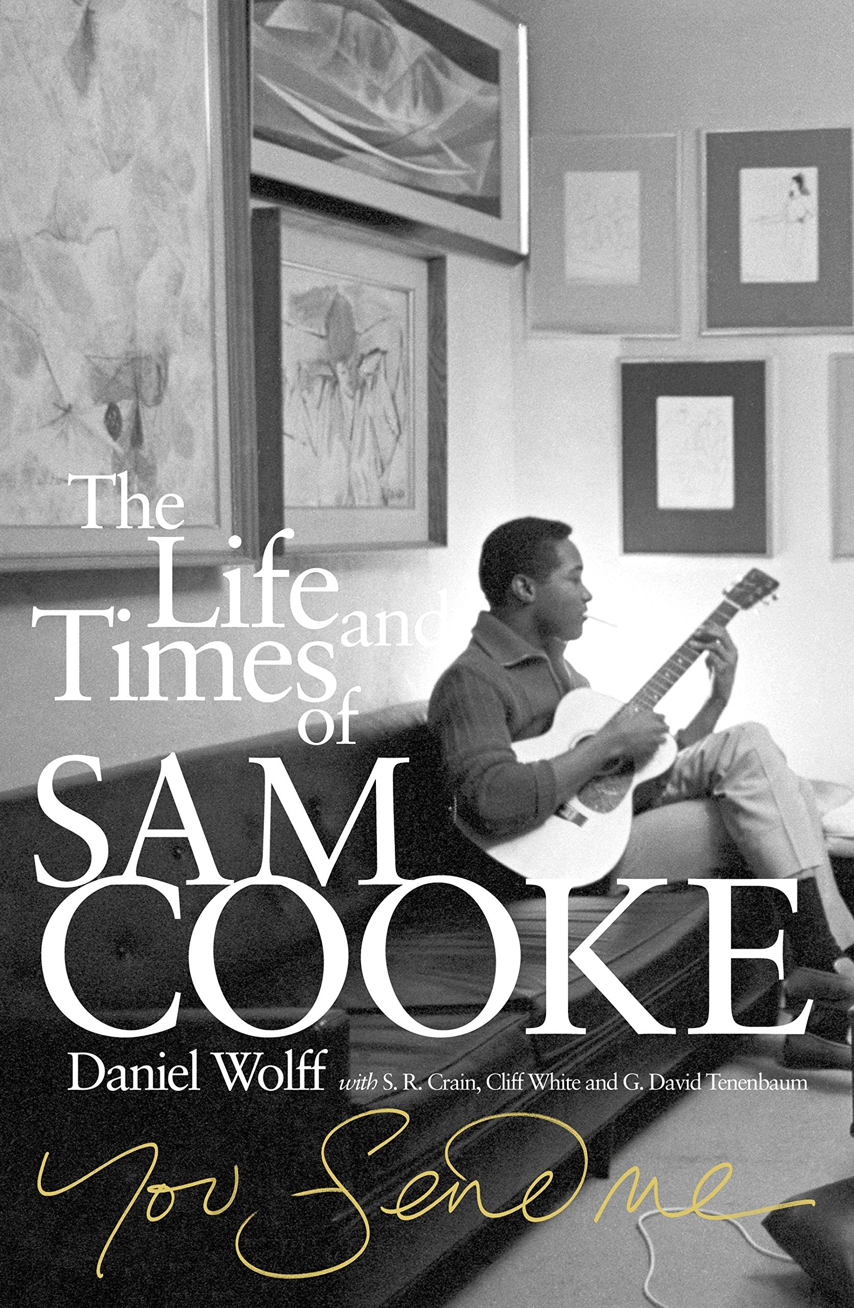 You Send Me: The Life and Times of Sam Cooke Social Sciences