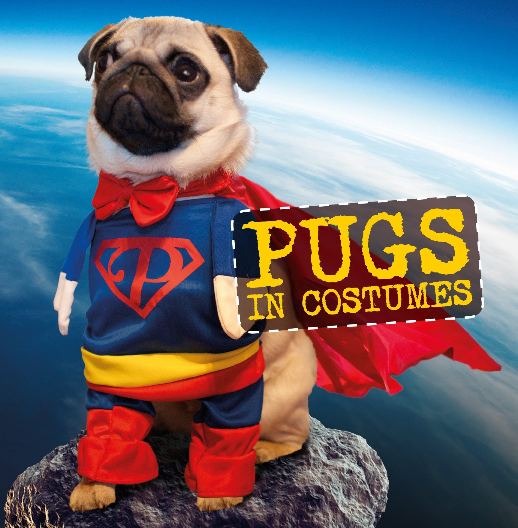 Product Image: Pugs in Costumes