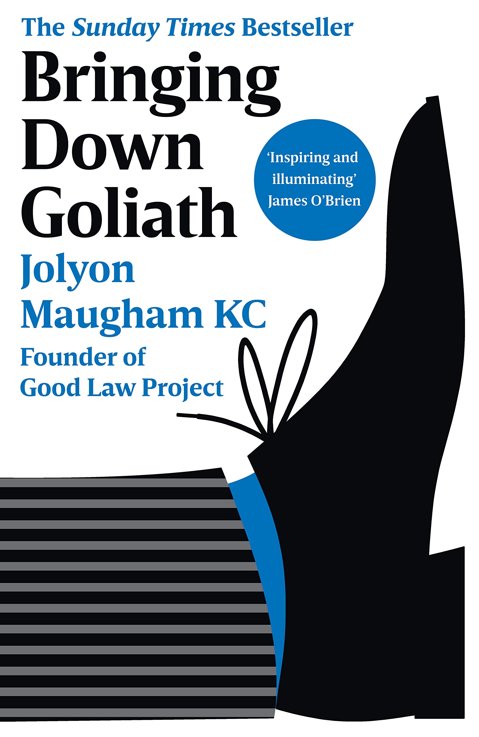 The Bringing Down Goliath: How Good Law Can Topple the Powerful book