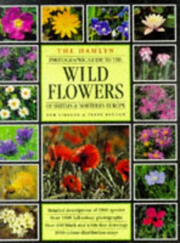 Wild Flowers of Britain and Europe Mathematics