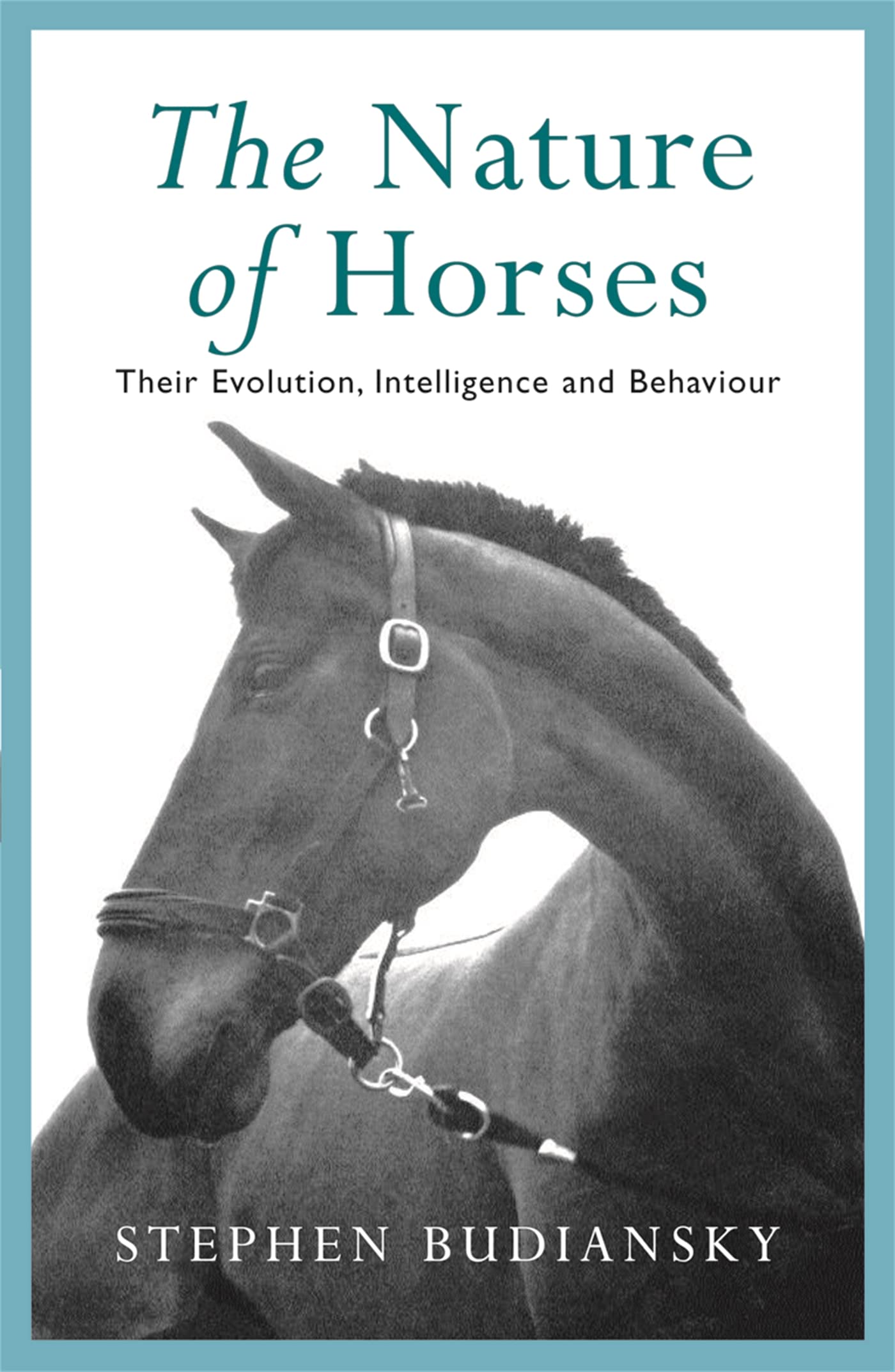 The Nature of Horses Mathematics