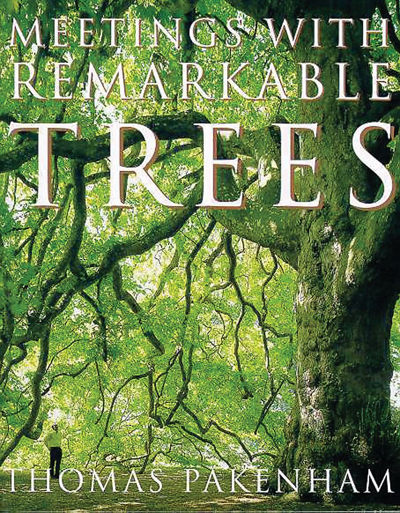 Meetings With Remarkable Trees Mathematics Books
