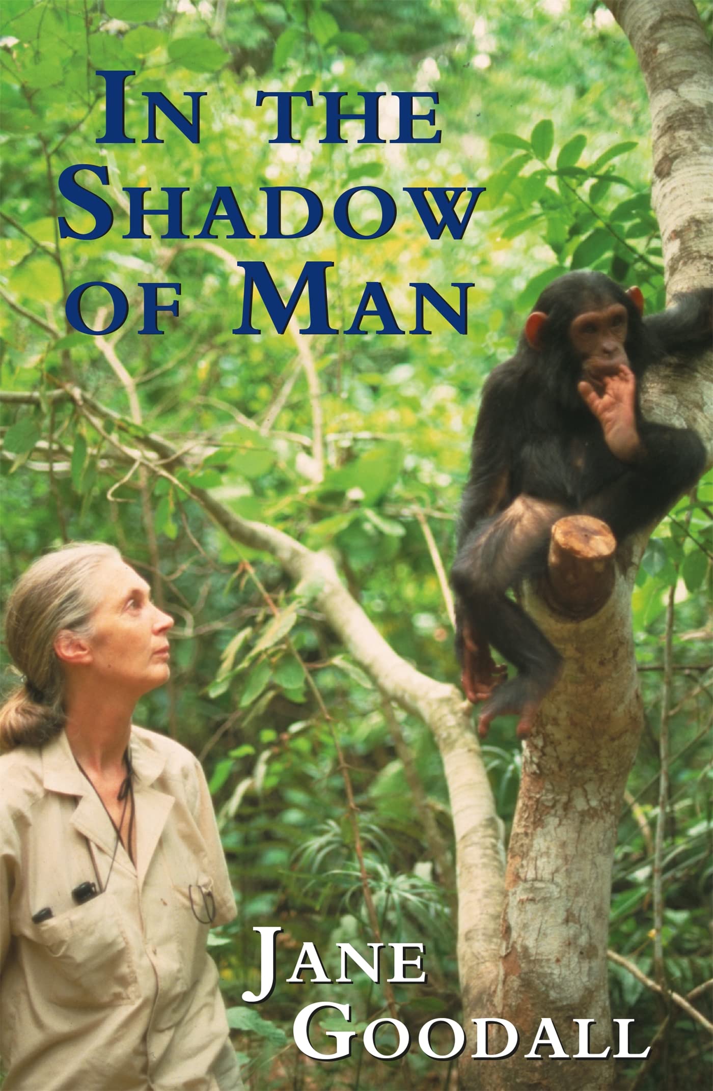 In the Shadow of Man Law