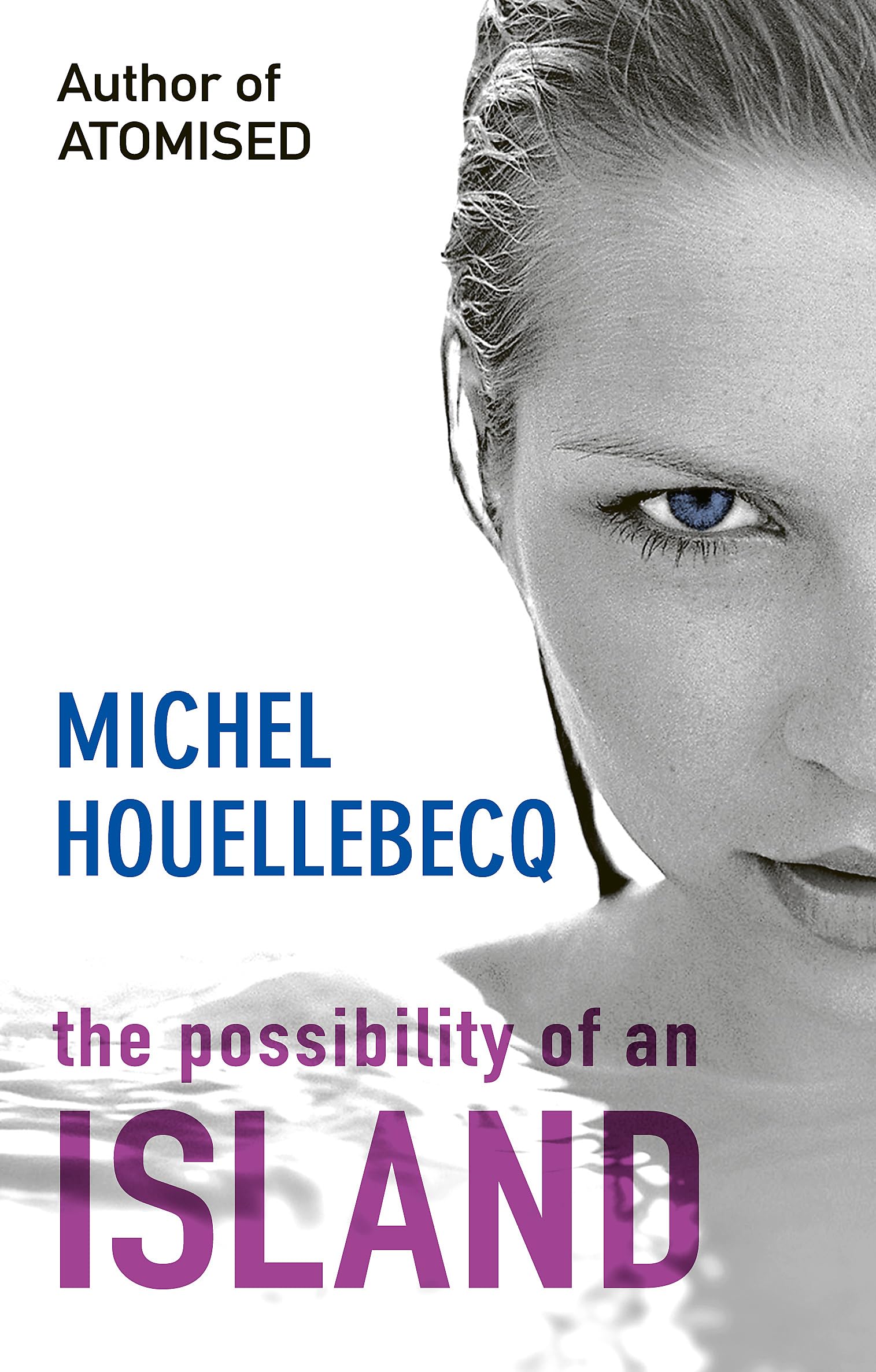 The Possibility of an Island Contemporary literature