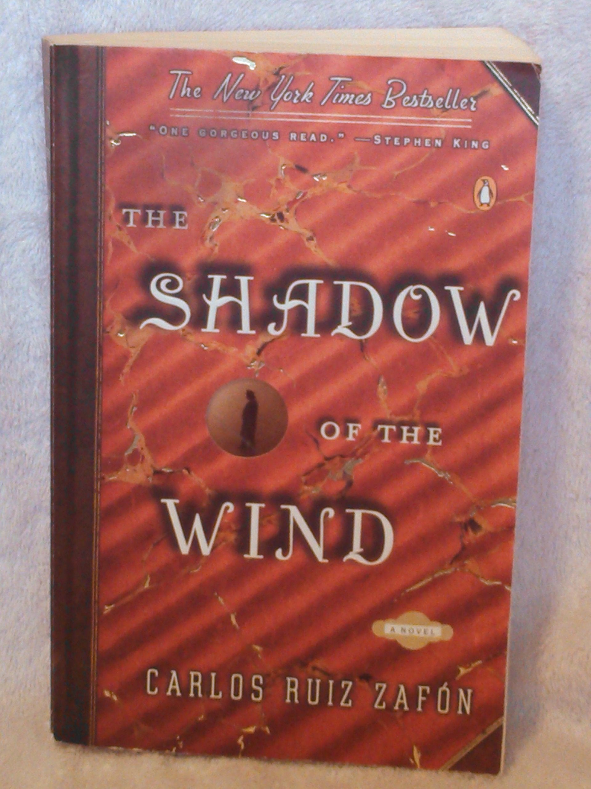 The Shadow of the Wind Contemporary literature