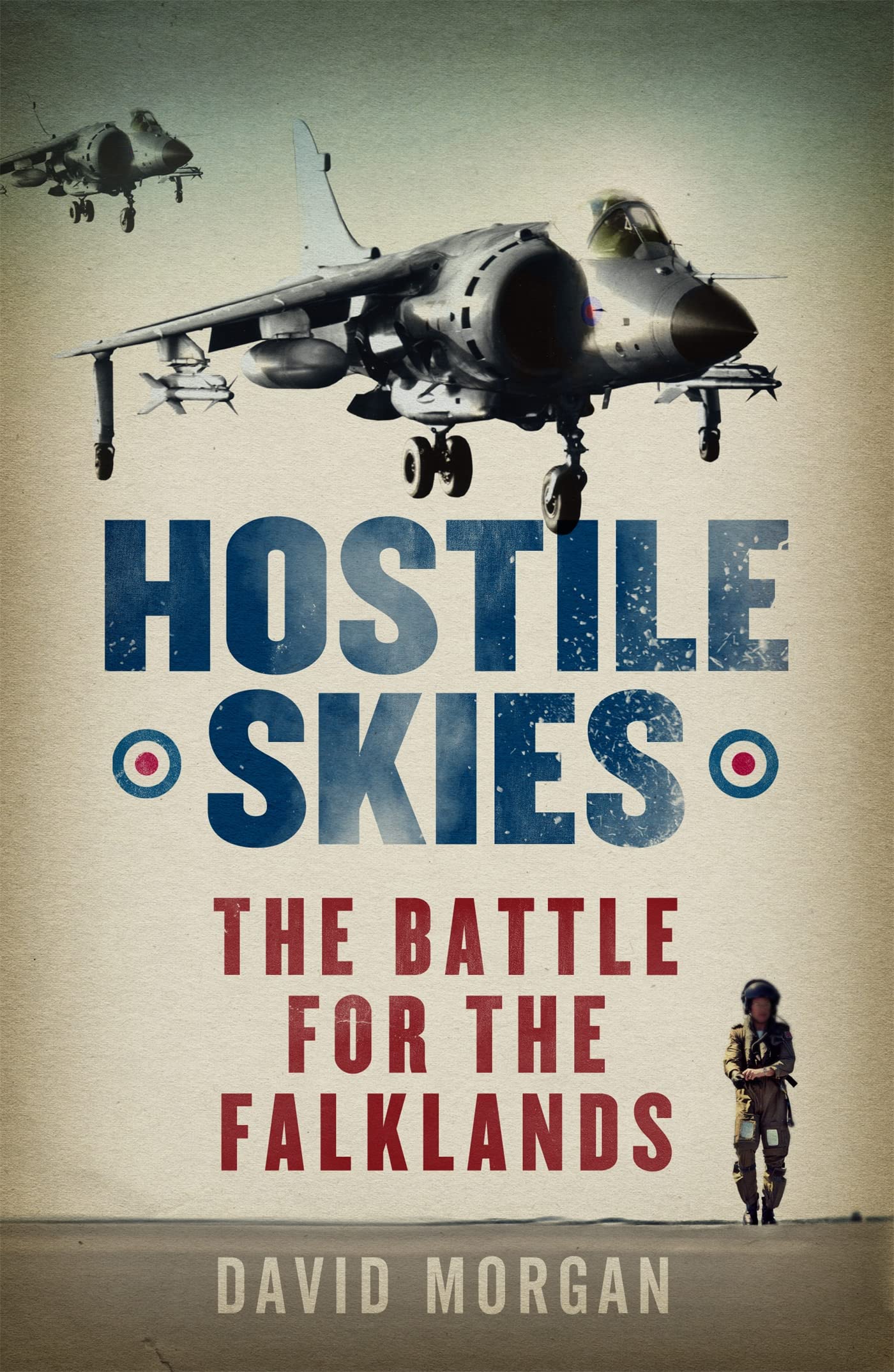 Hostile Skies: The Battle for the Falklands Social Sciences