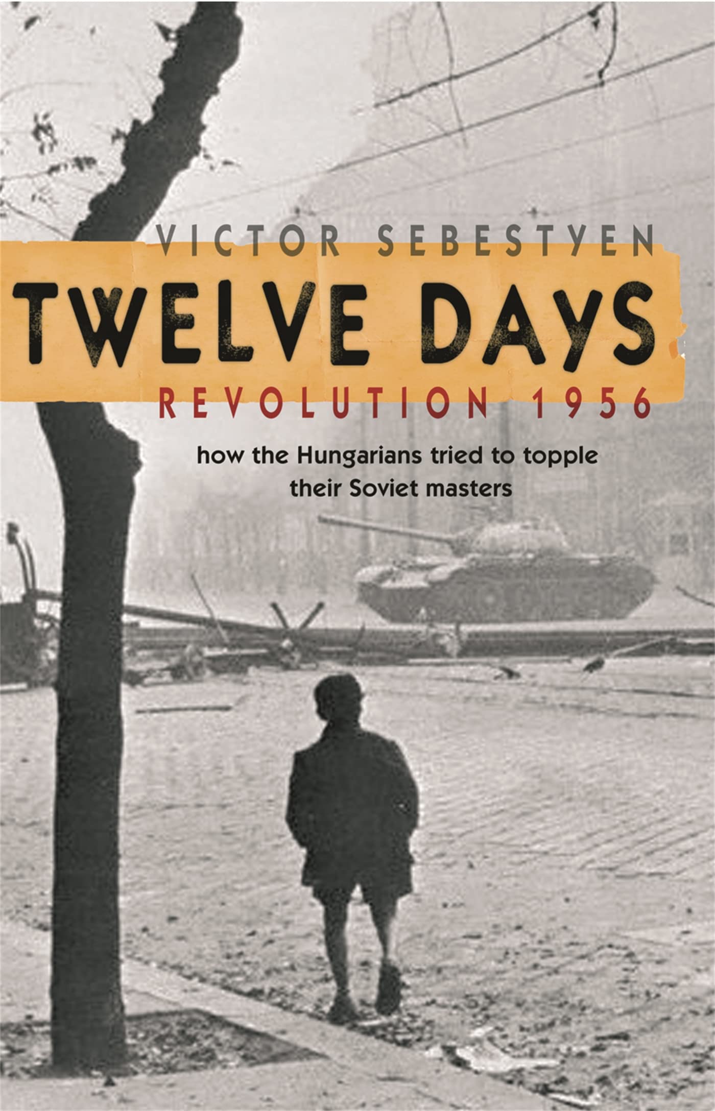 Twelve Days: Revolution 1956. How the Hungarians tried to topple their Soviet masters Social Sciences