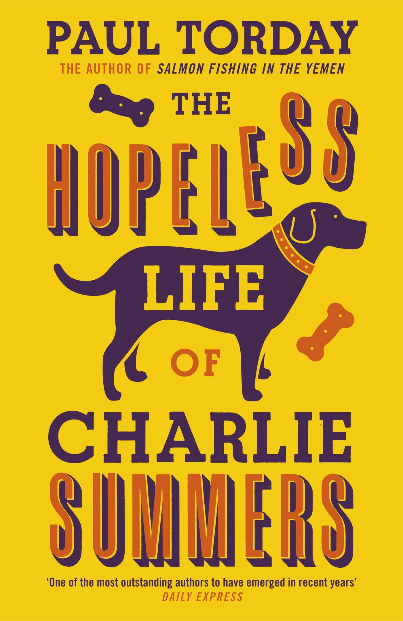 The Hopeless Life Of Charlie Summers Contemporary literature